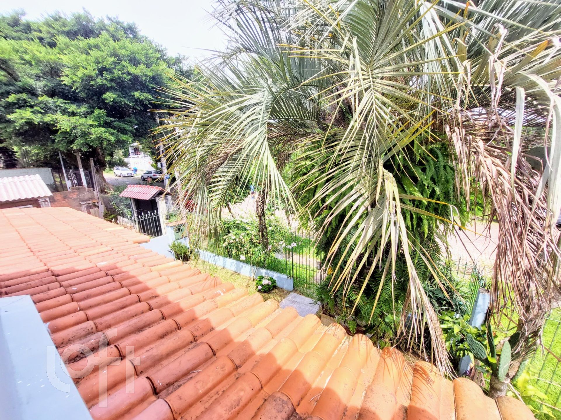 Imagem da propriedade 36