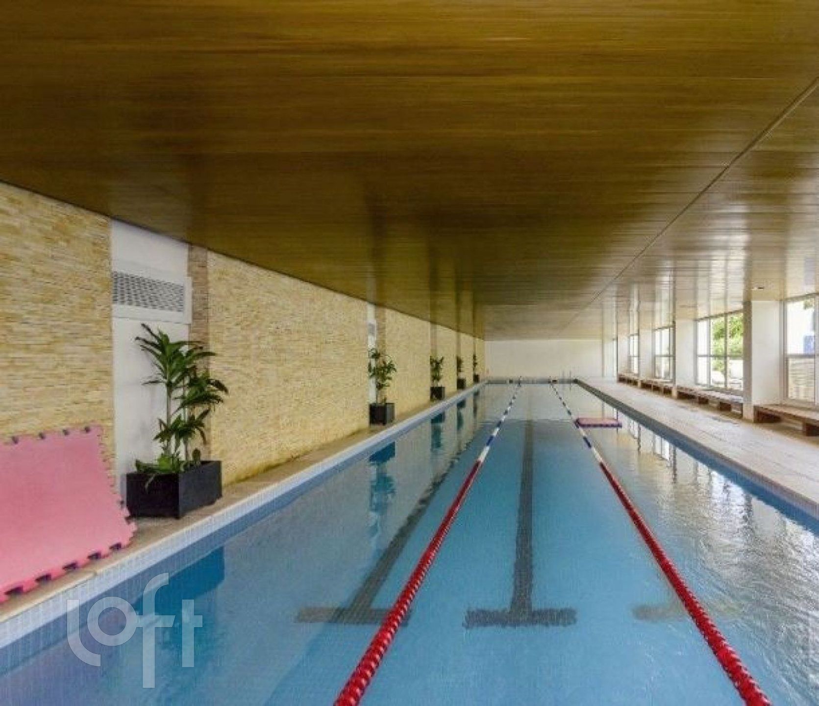 Imagem da propriedade 4