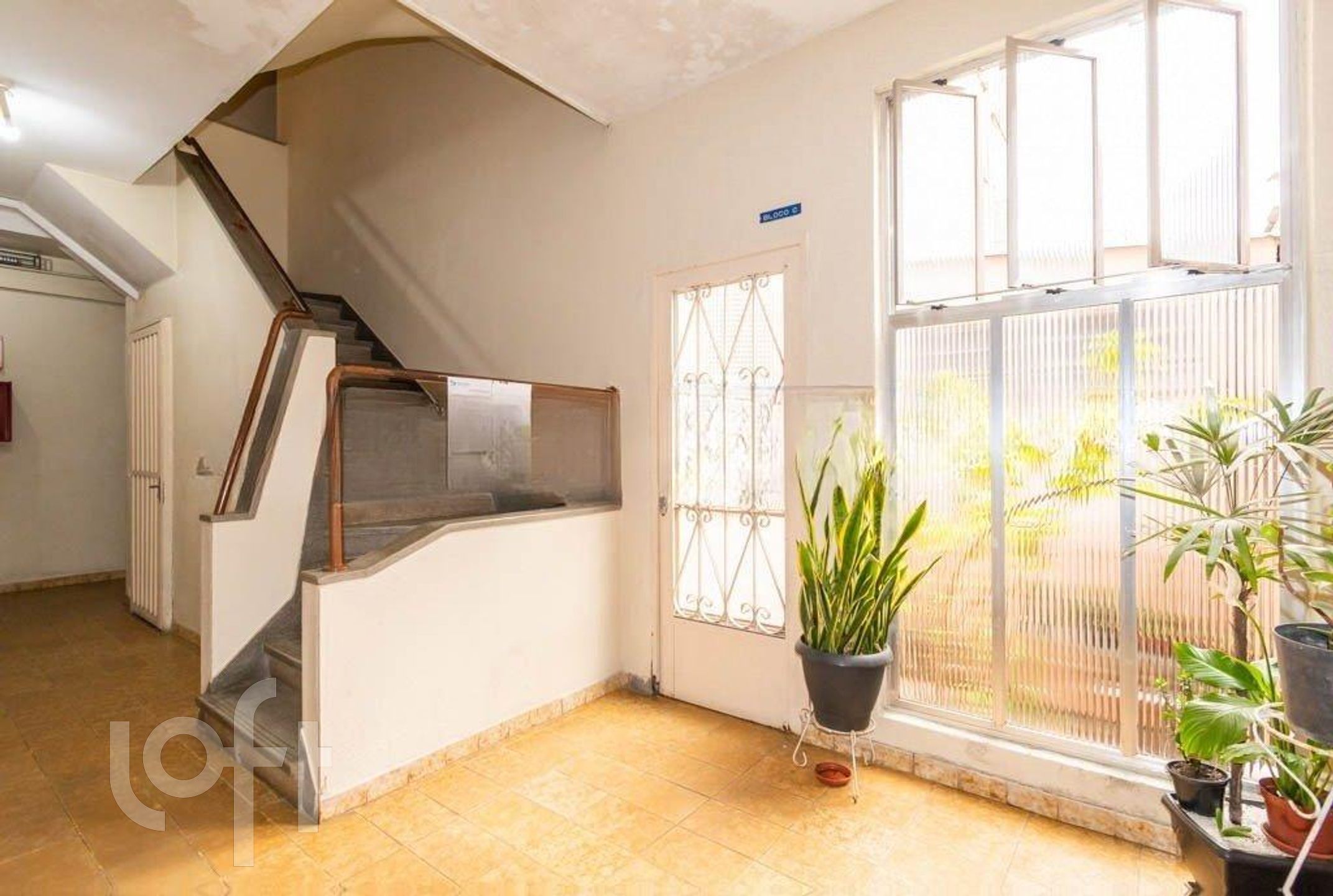 Imagem da propriedade 16