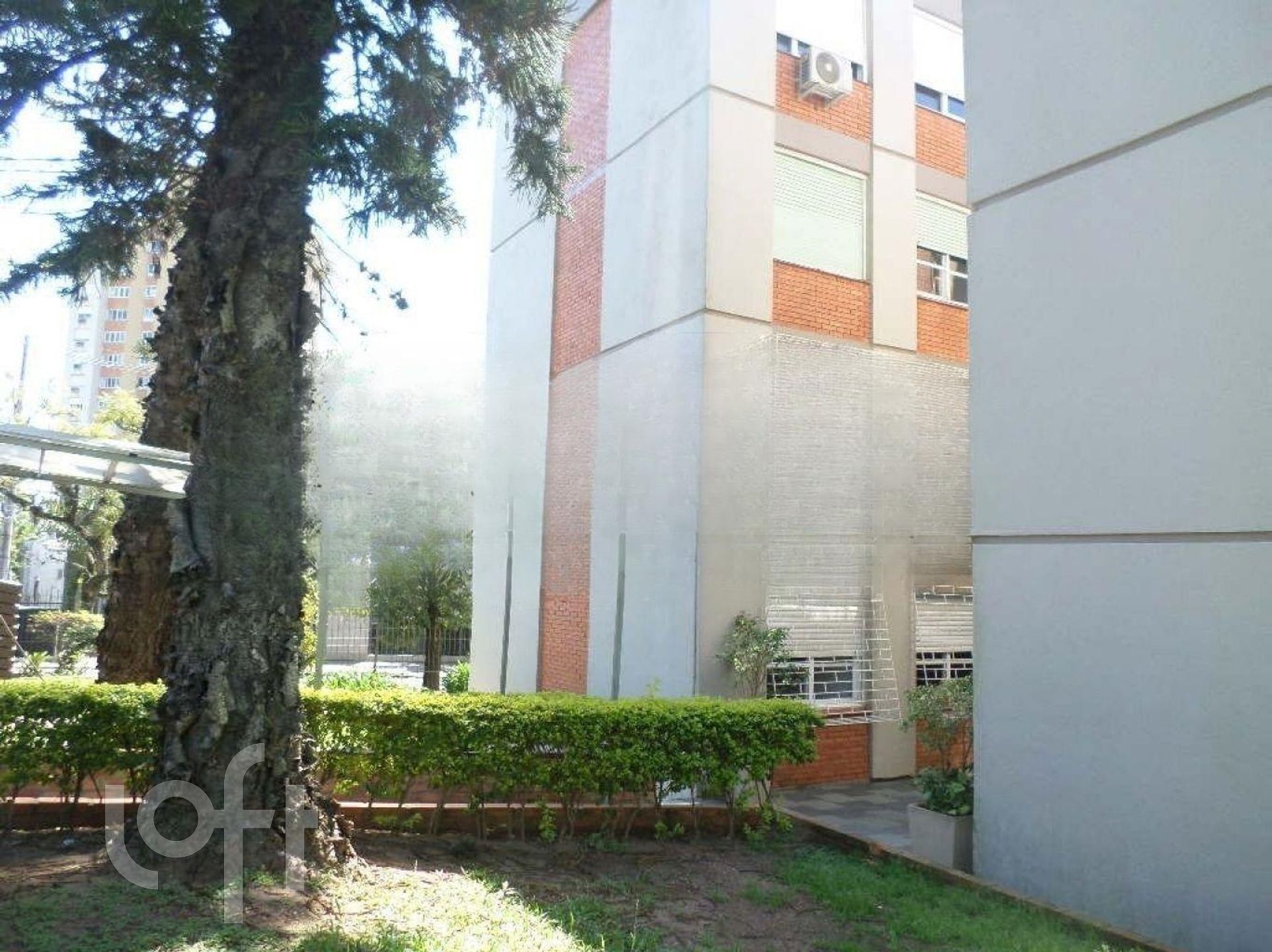 Imagem da propriedade 5