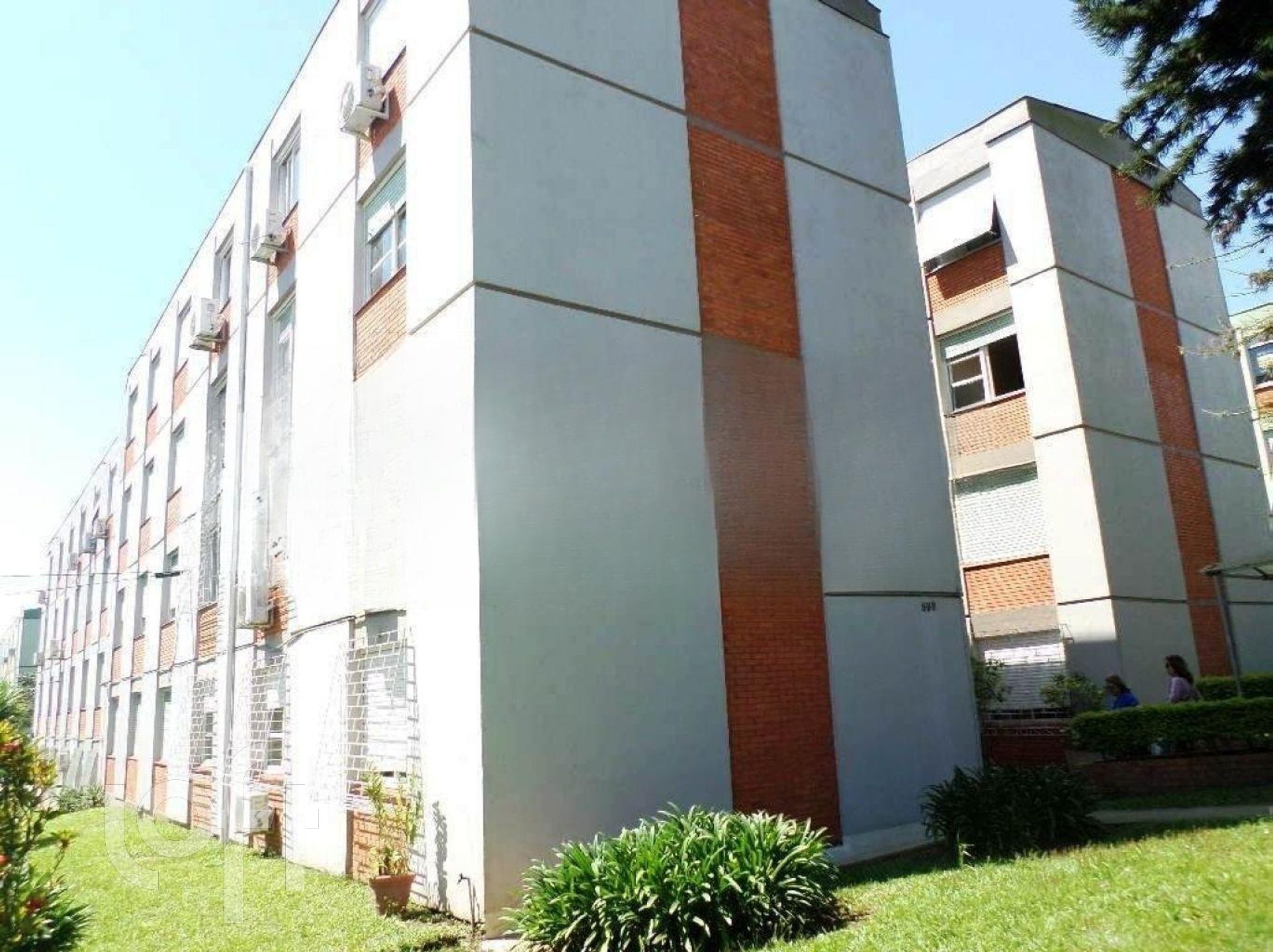 Imagem da propriedade 3