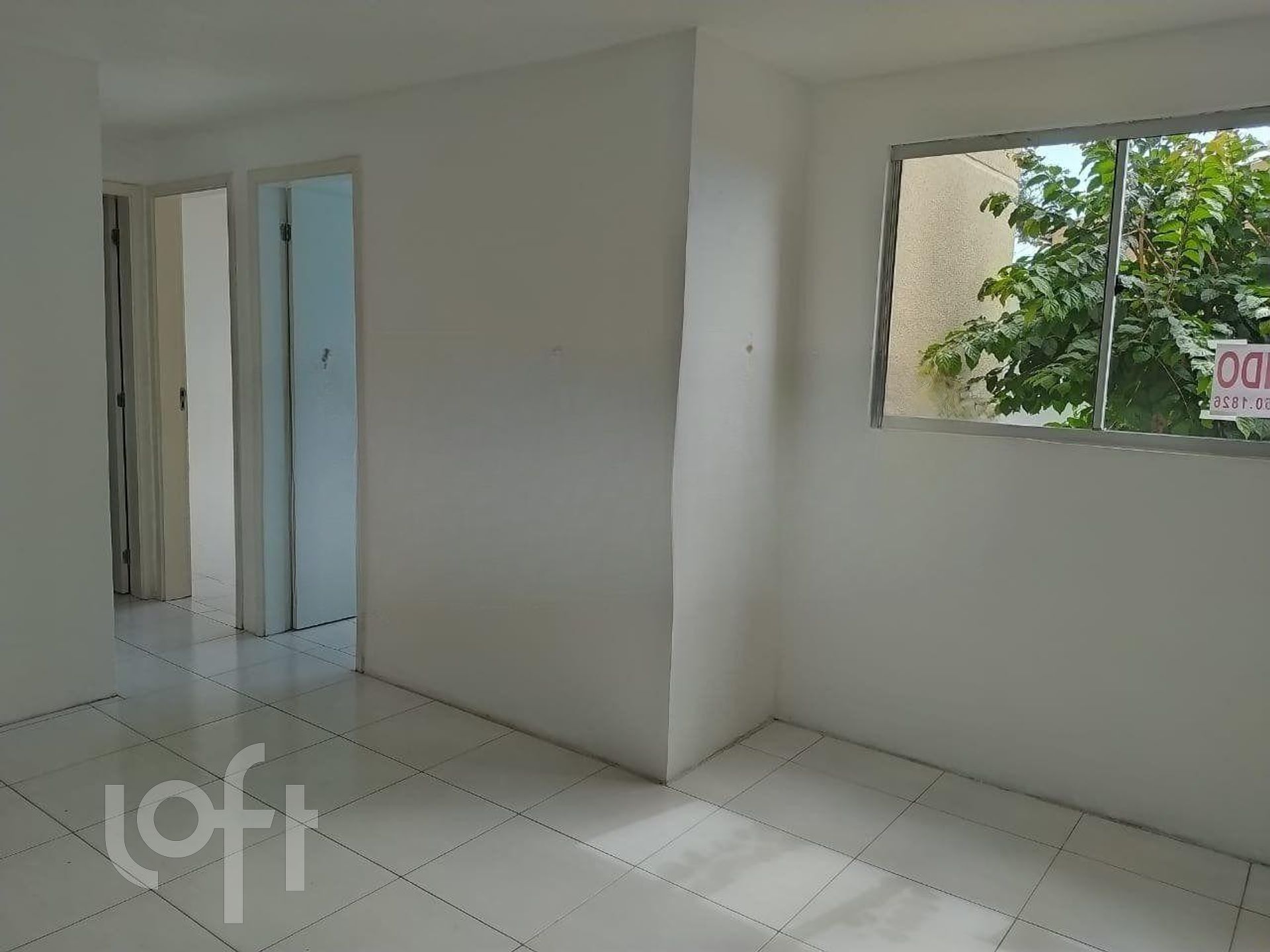 Imagem da propriedade 4