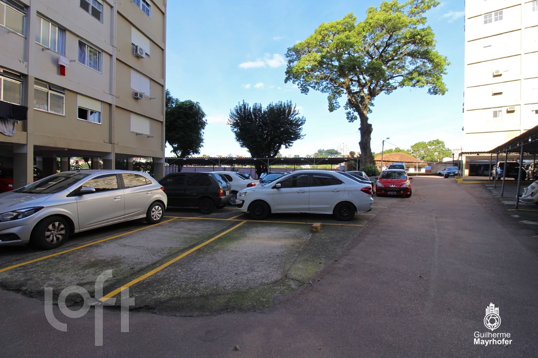 Imagem da propriedade 32