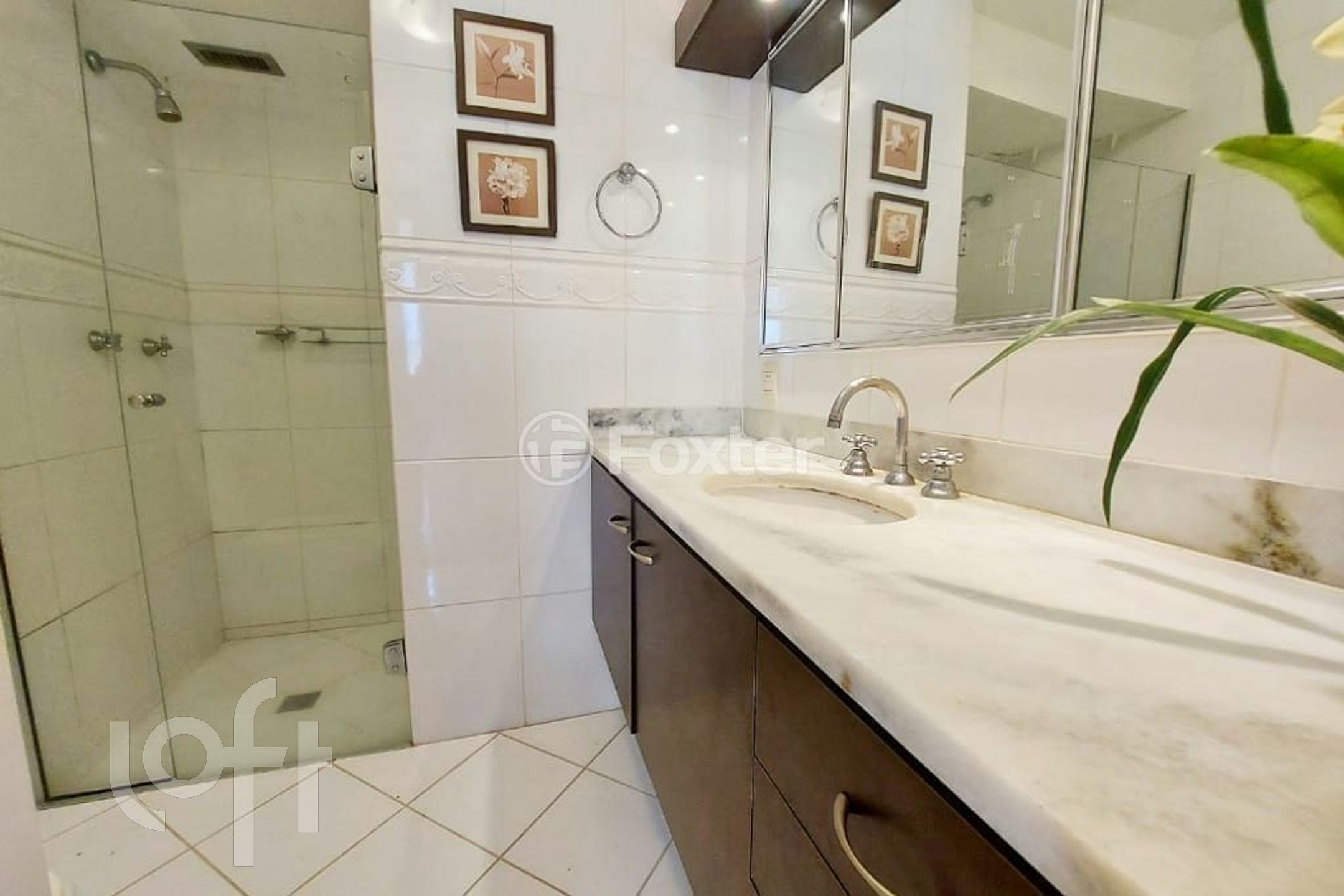 Imagem da propriedade 4