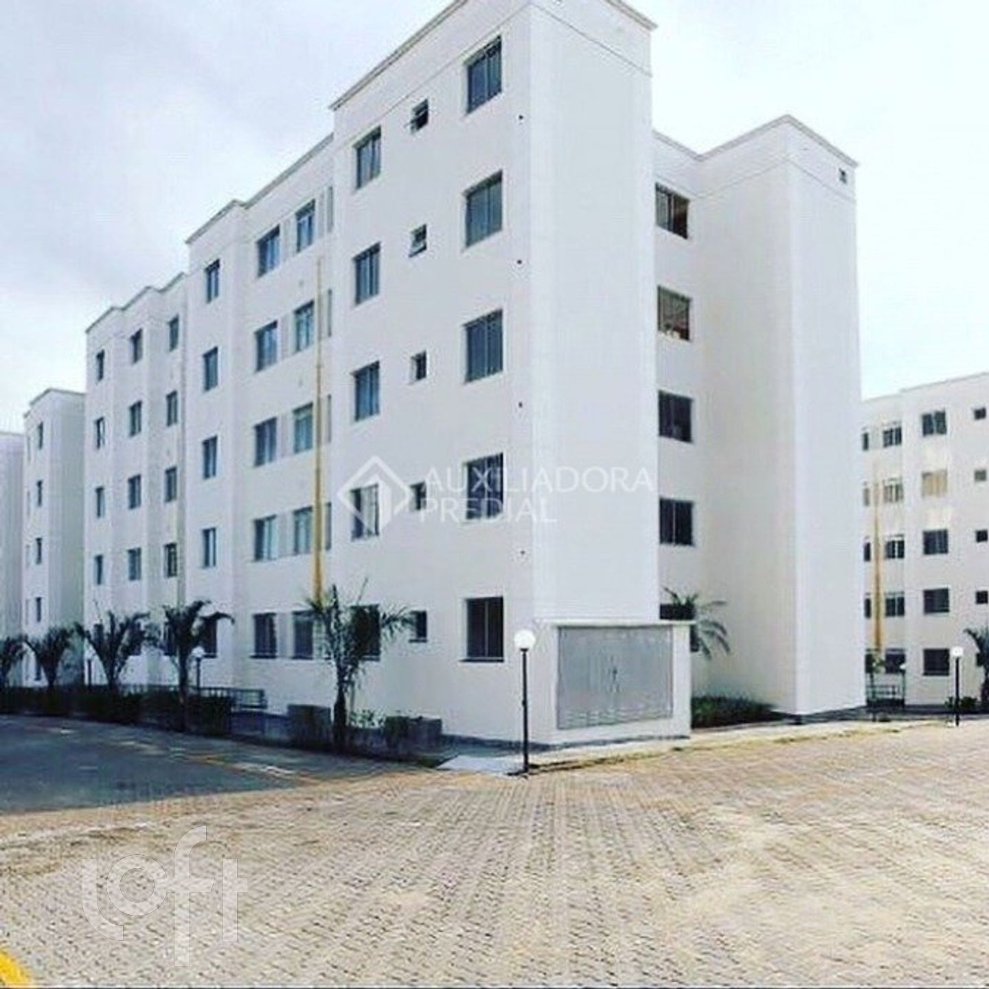 Imagem da propriedade 32