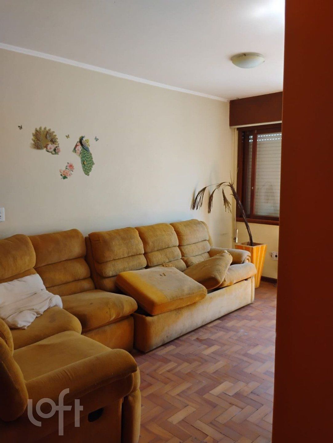 Imagem da propriedade 22