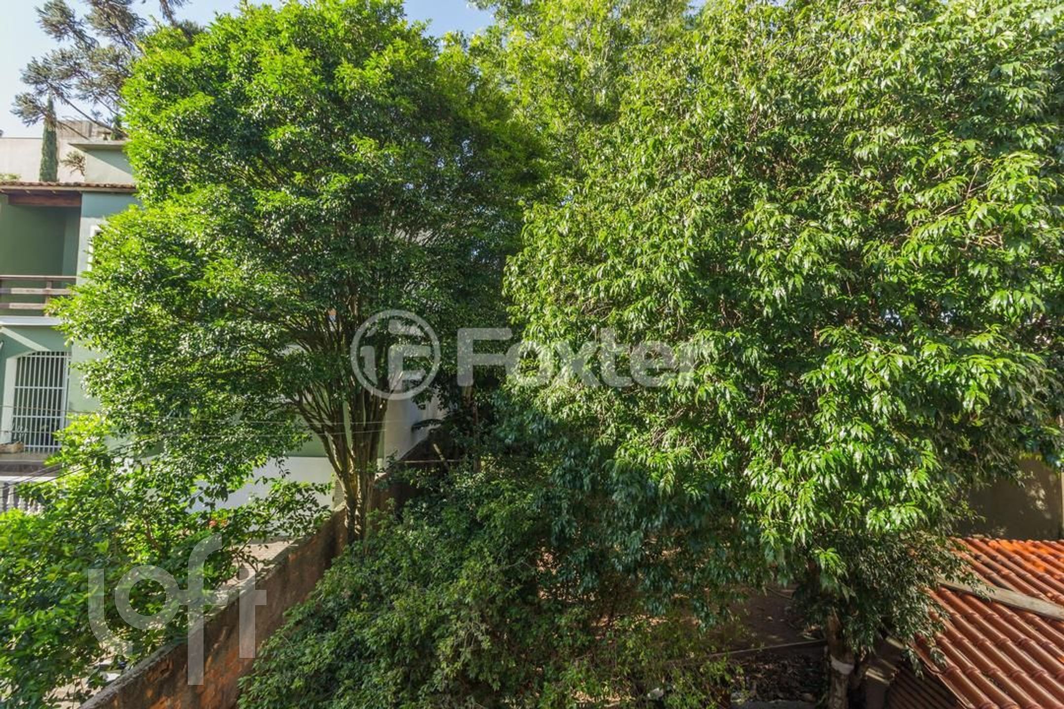 Imagem da propriedade 20