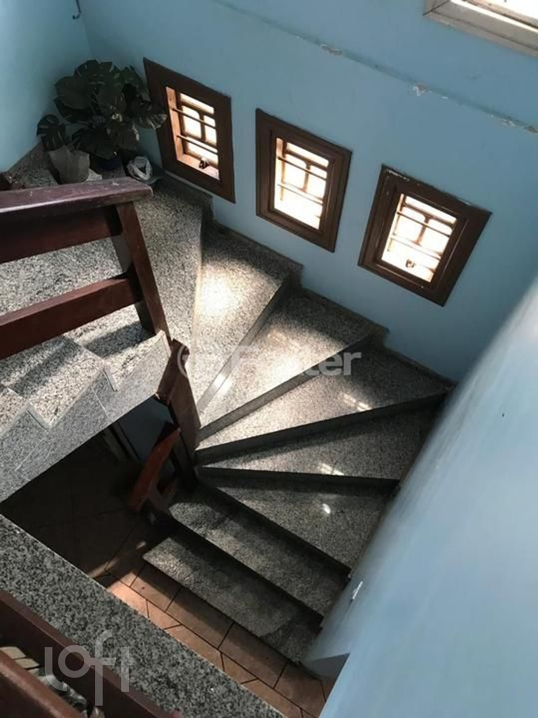 Imagem da propriedade 7