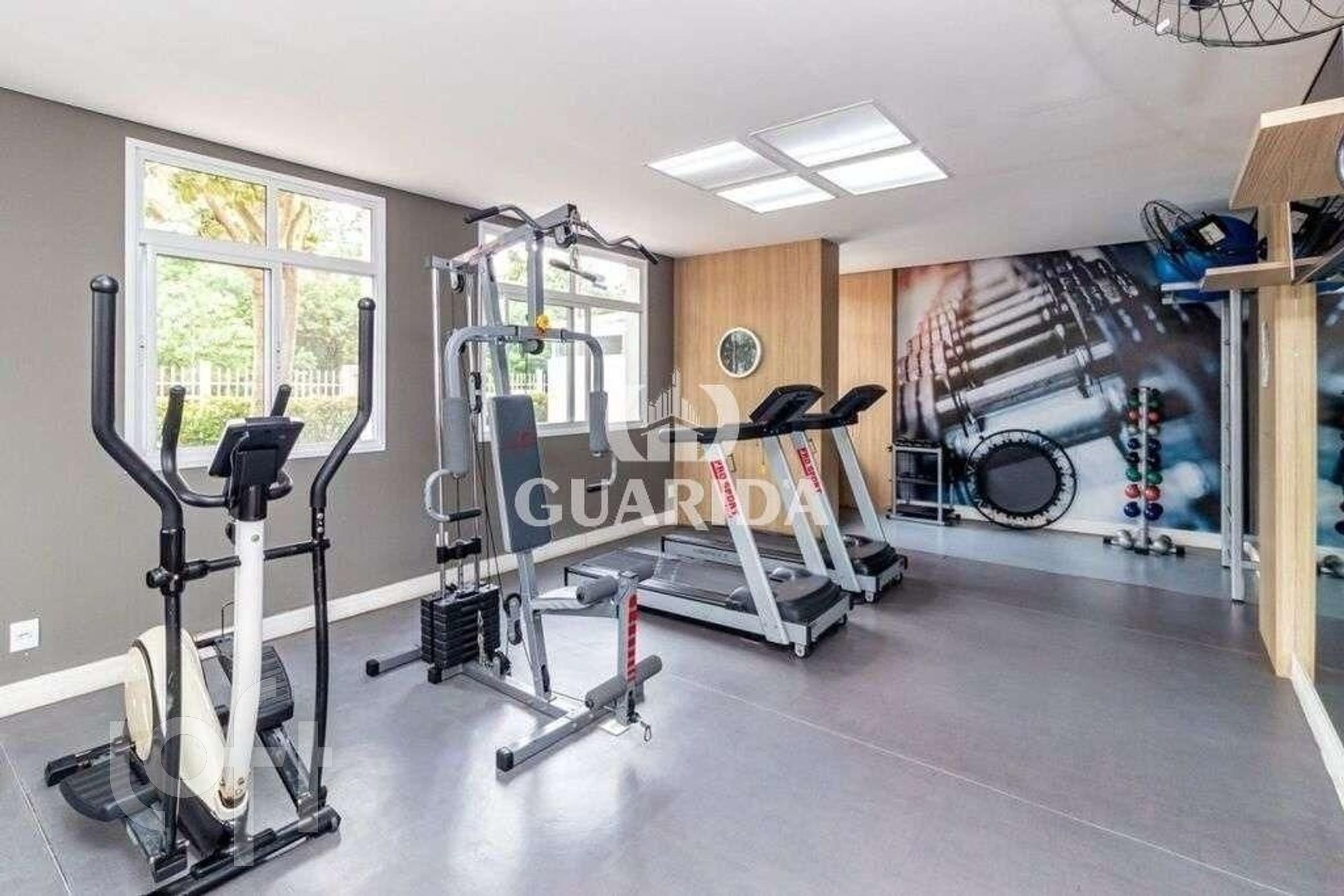 Imagem da propriedade 63