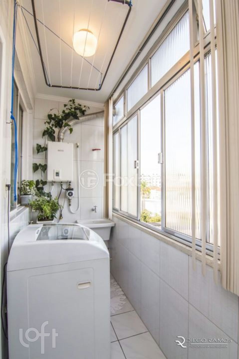 Imagem da propriedade 31