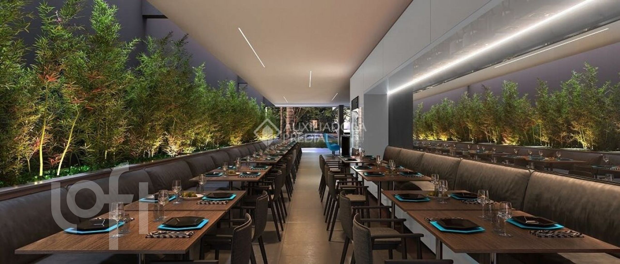 Imagem da propriedade 6