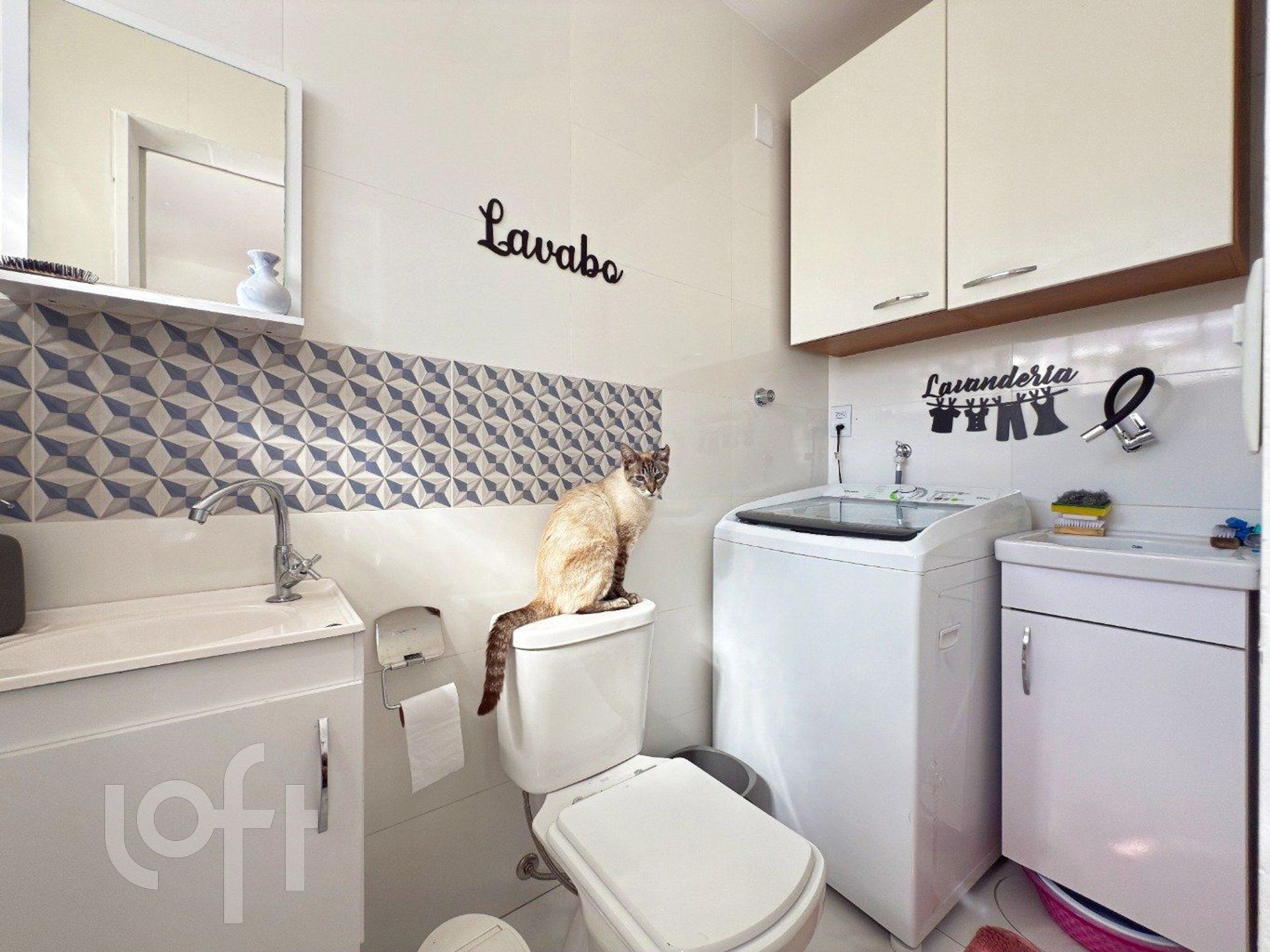 Imagem da propriedade 33