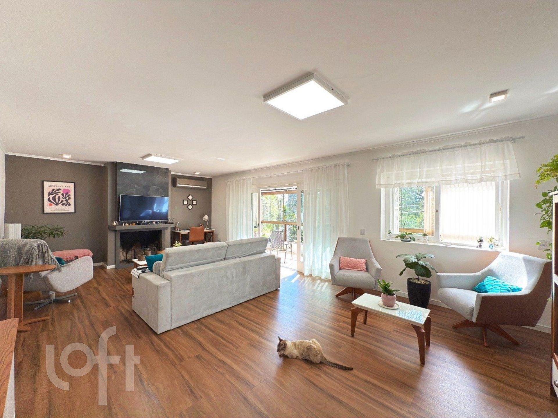 Imagem da propriedade 3