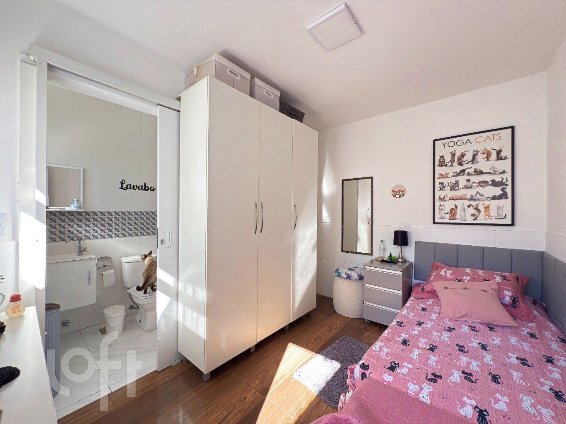 Imagem da propriedade 31