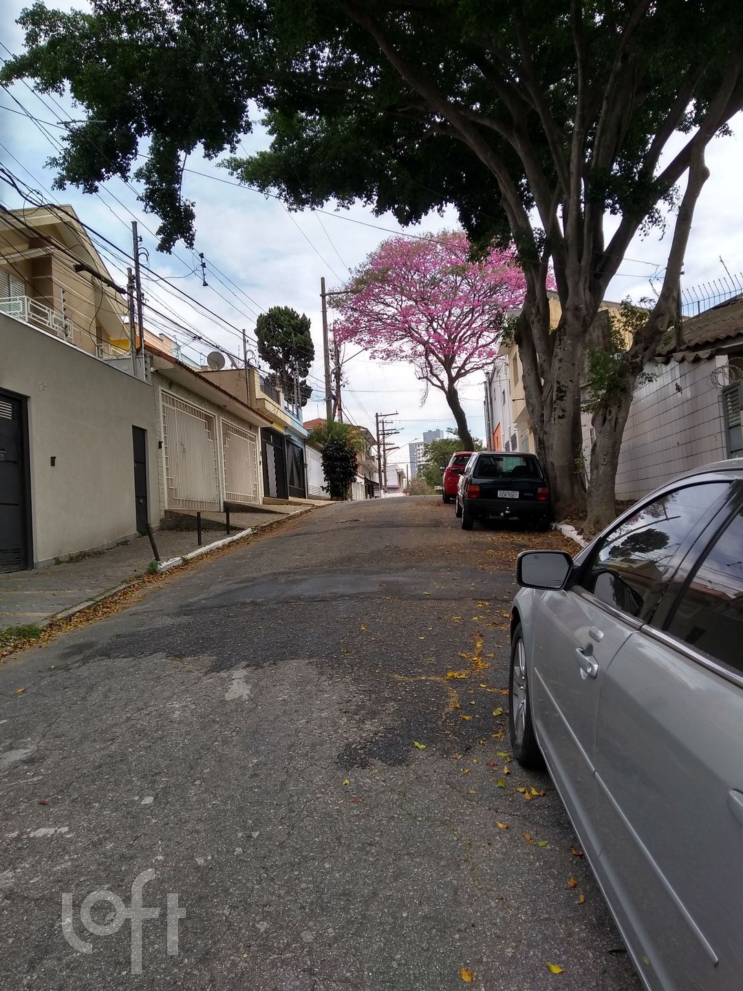 Imagem da propriedade PUmwe649 9