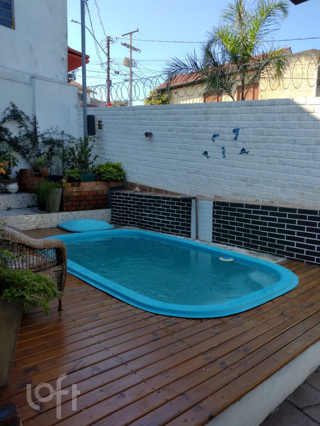 Imagem da propriedade 21