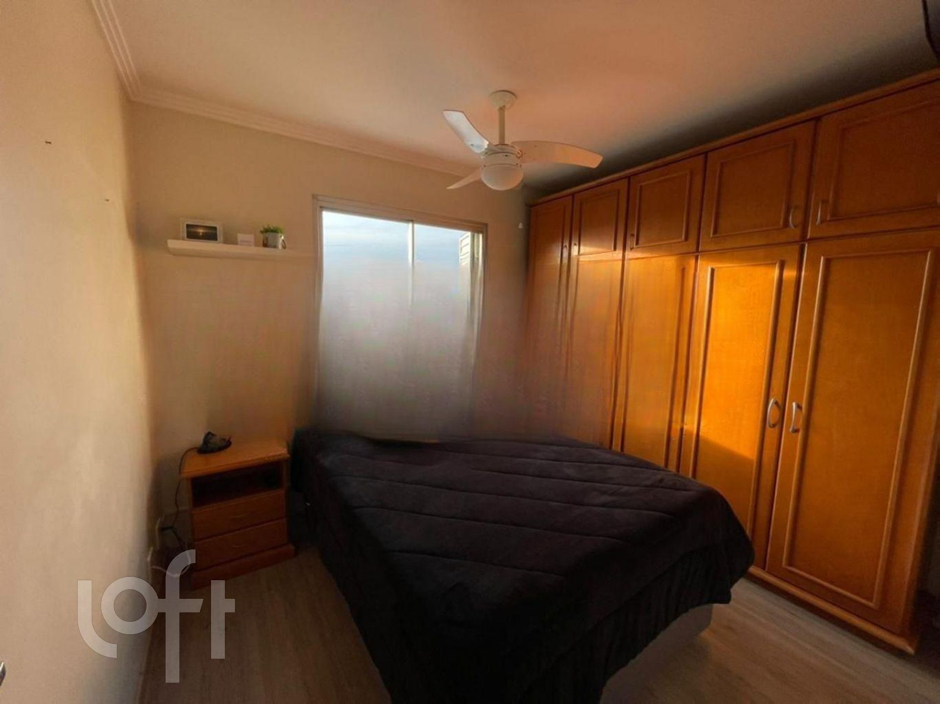 Imagem da propriedade 11