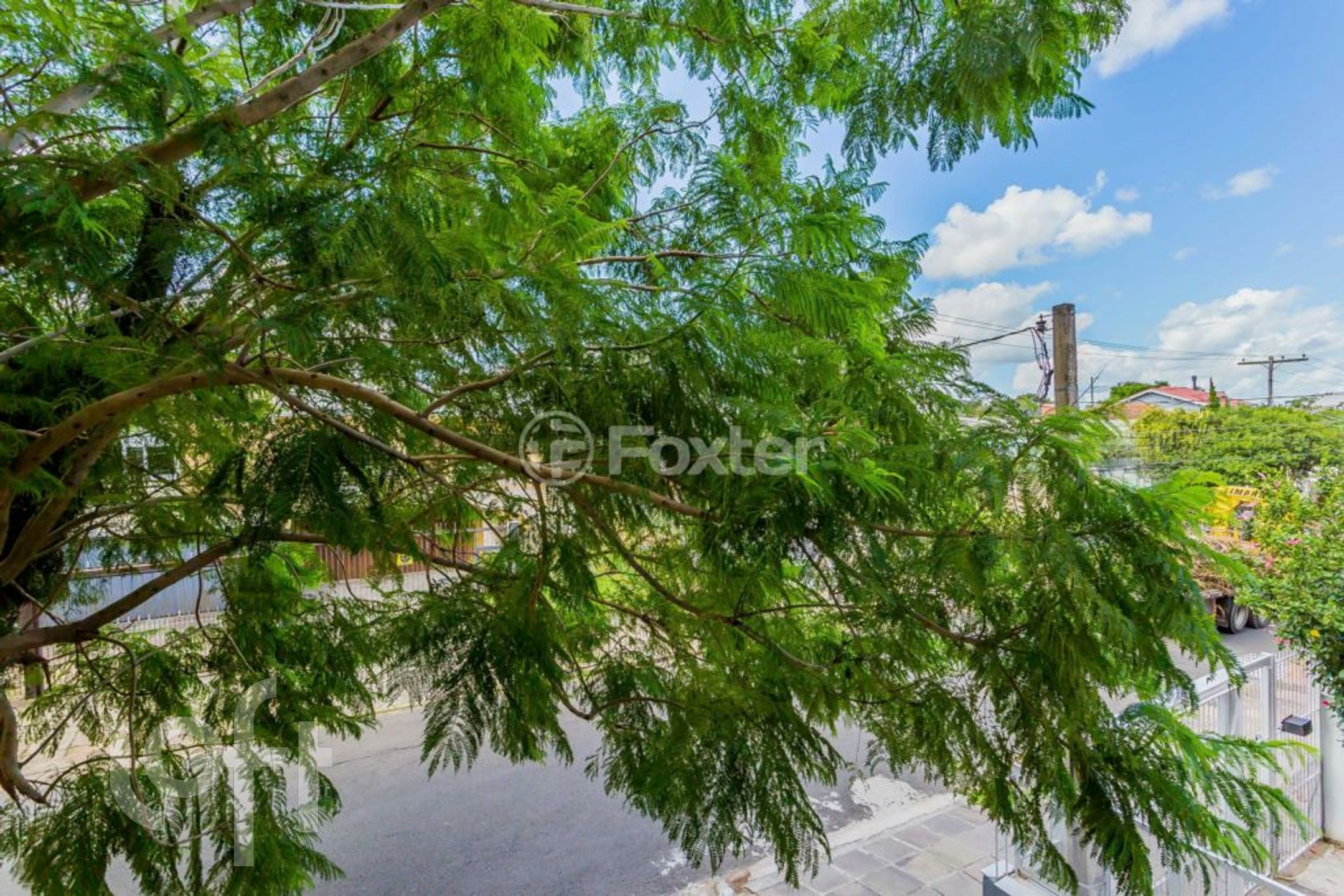 Imagem da propriedade 18