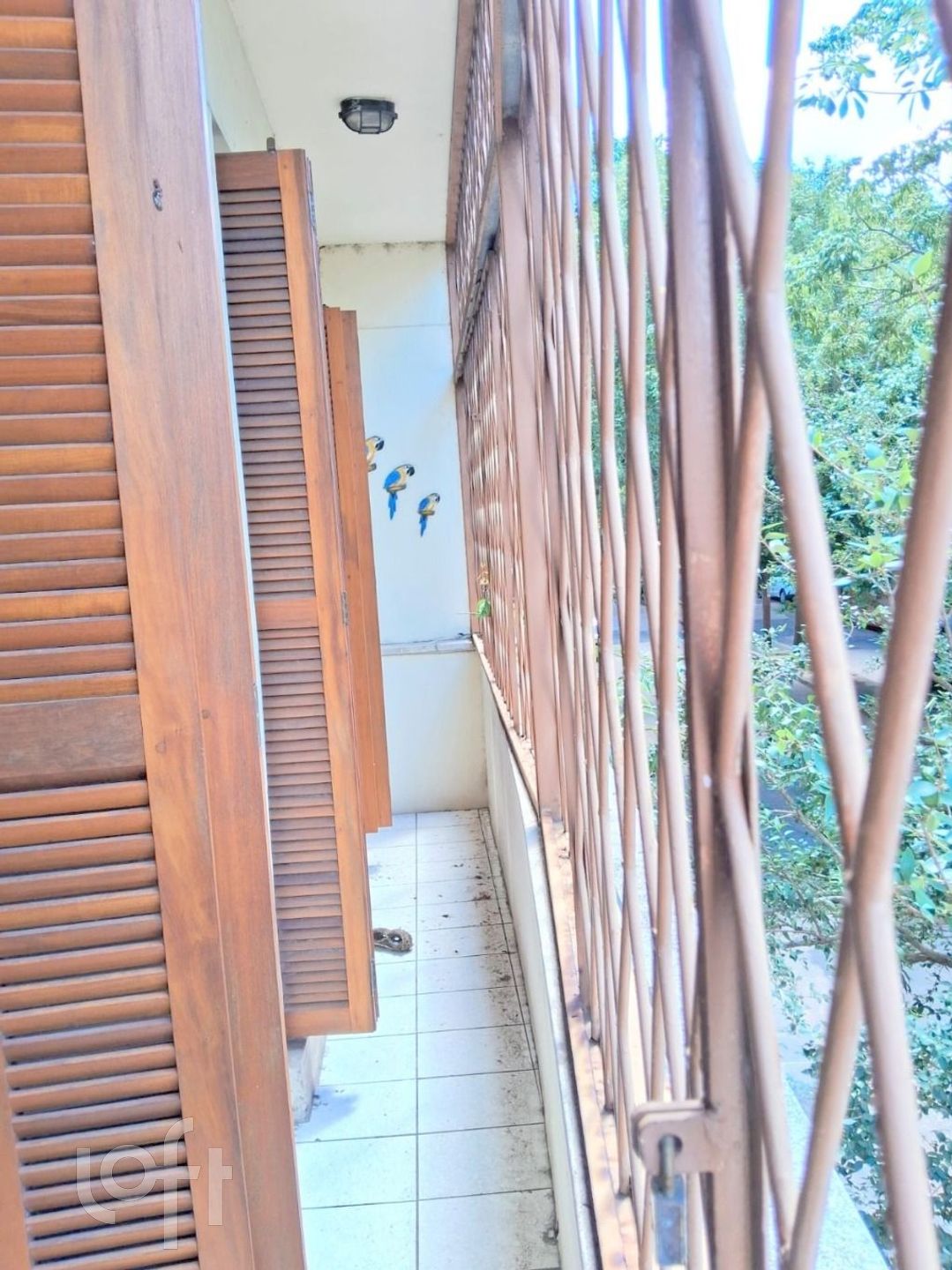 Imagem da propriedade 5