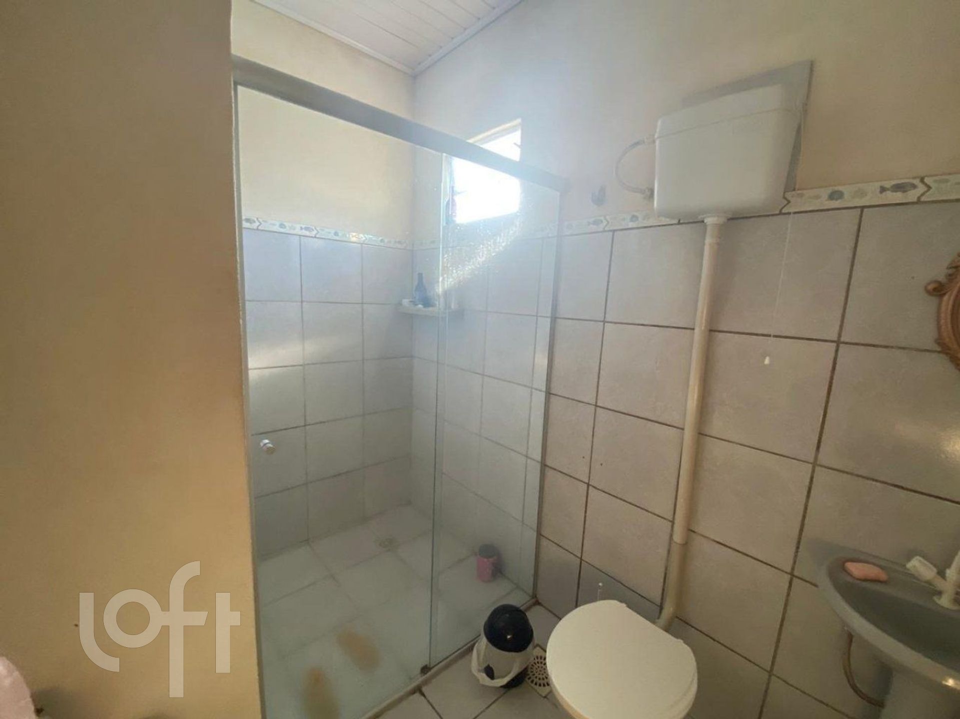 Imagem da propriedade 13