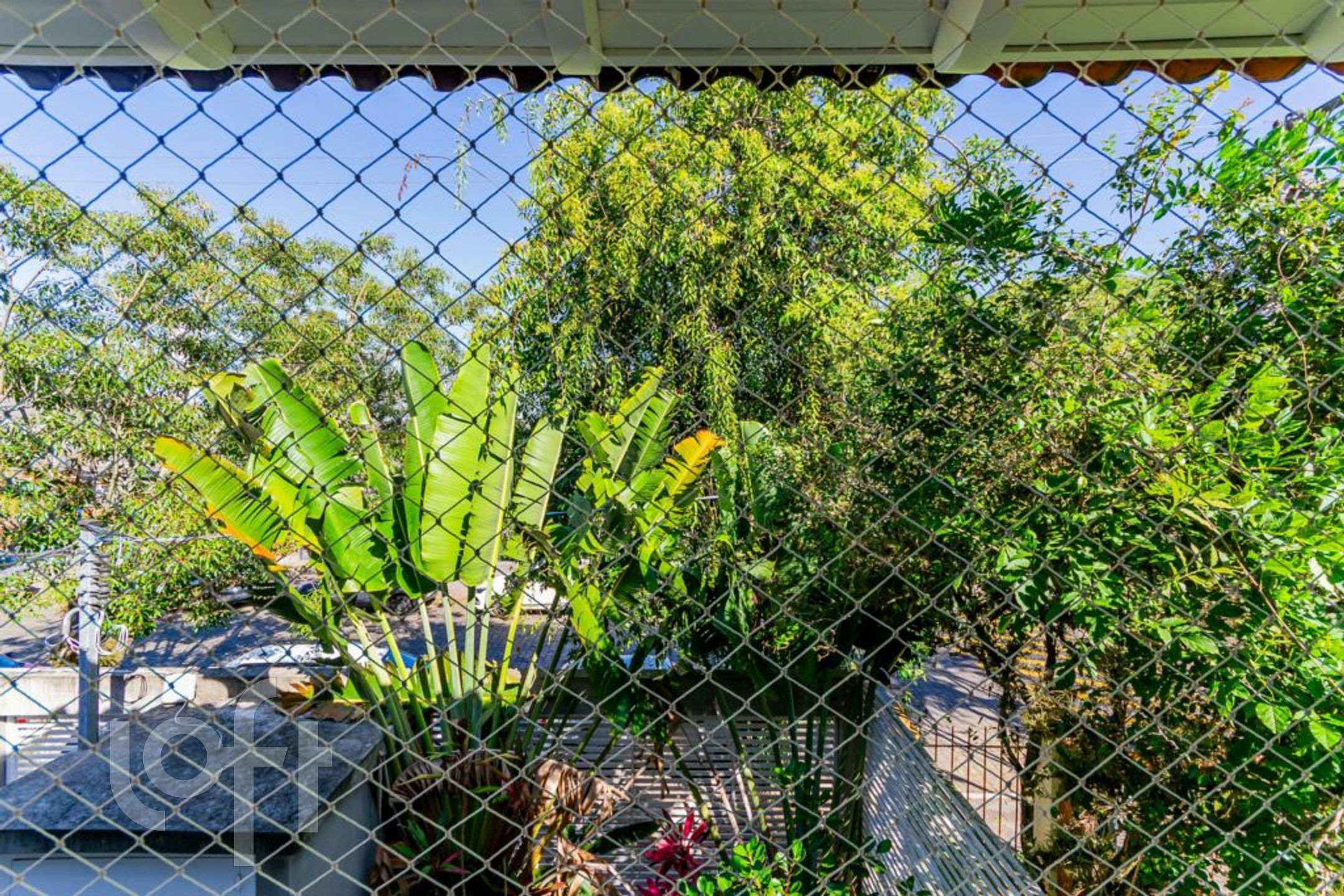 Imagem da propriedade 28