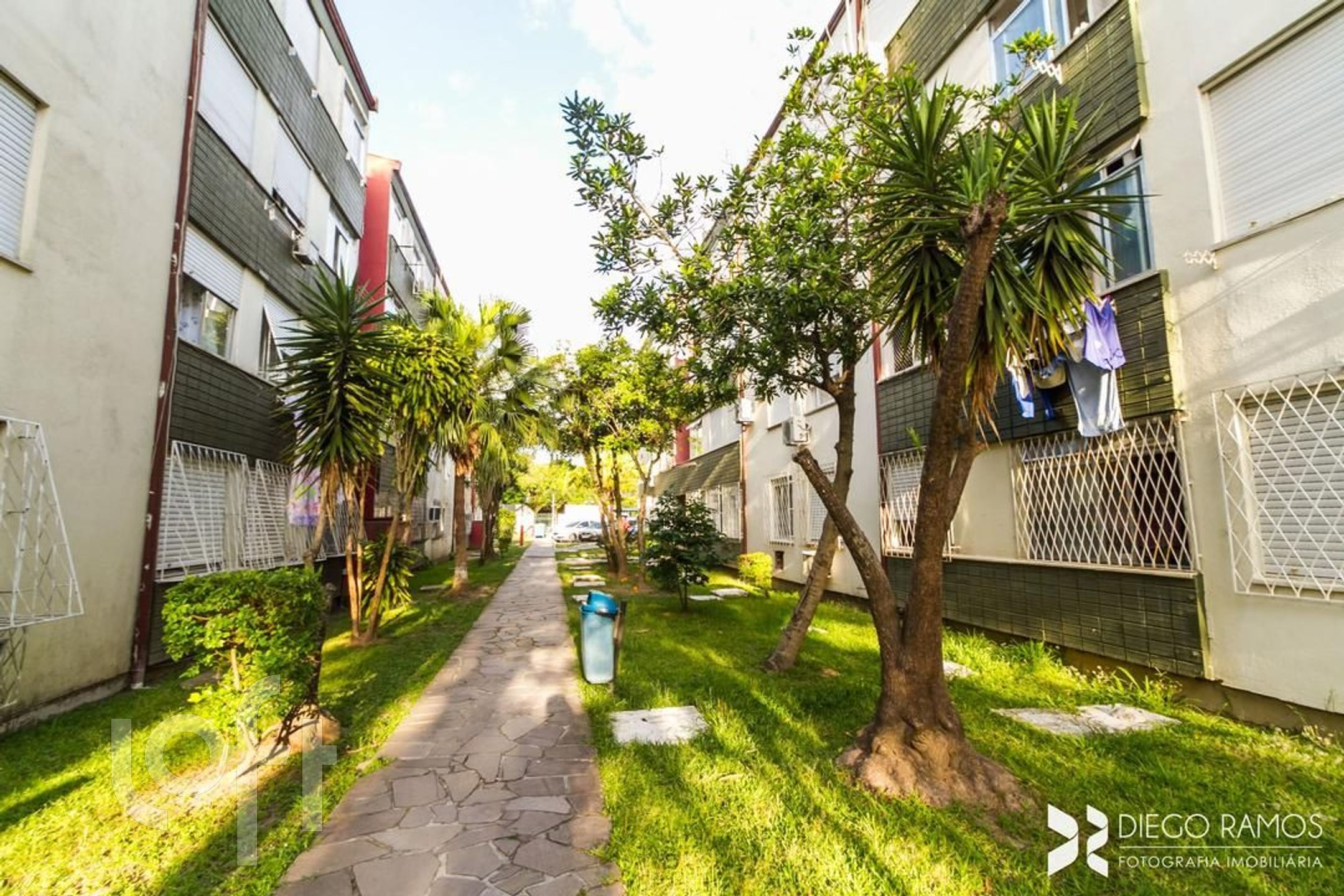 Imagem da propriedade 31