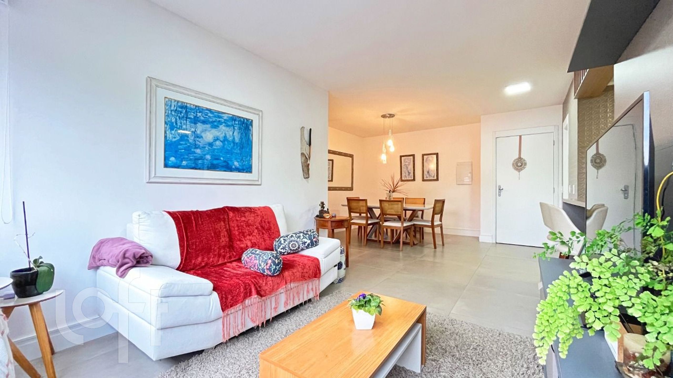 Imagem da propriedade 11