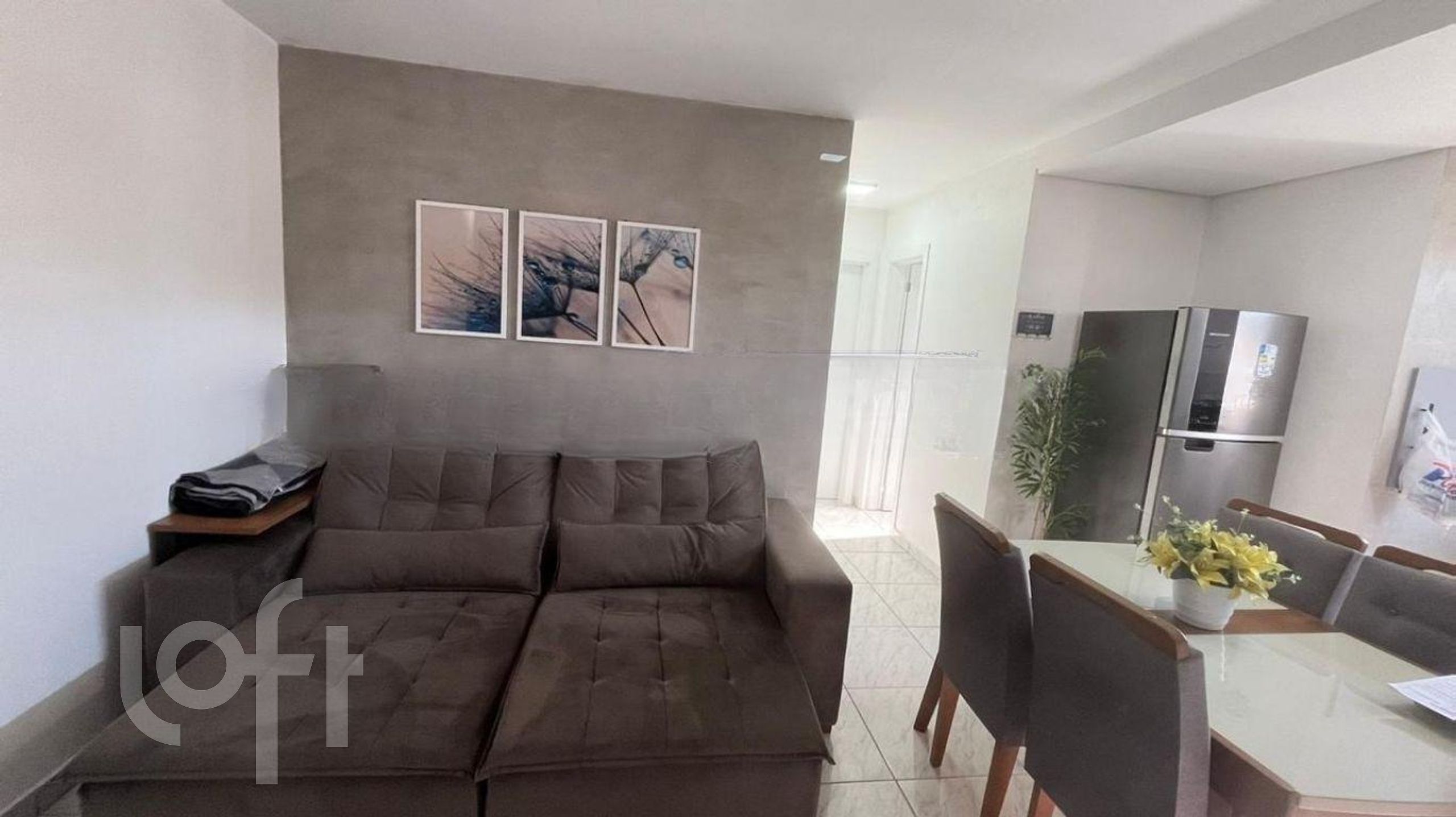 Imagem da propriedade 3