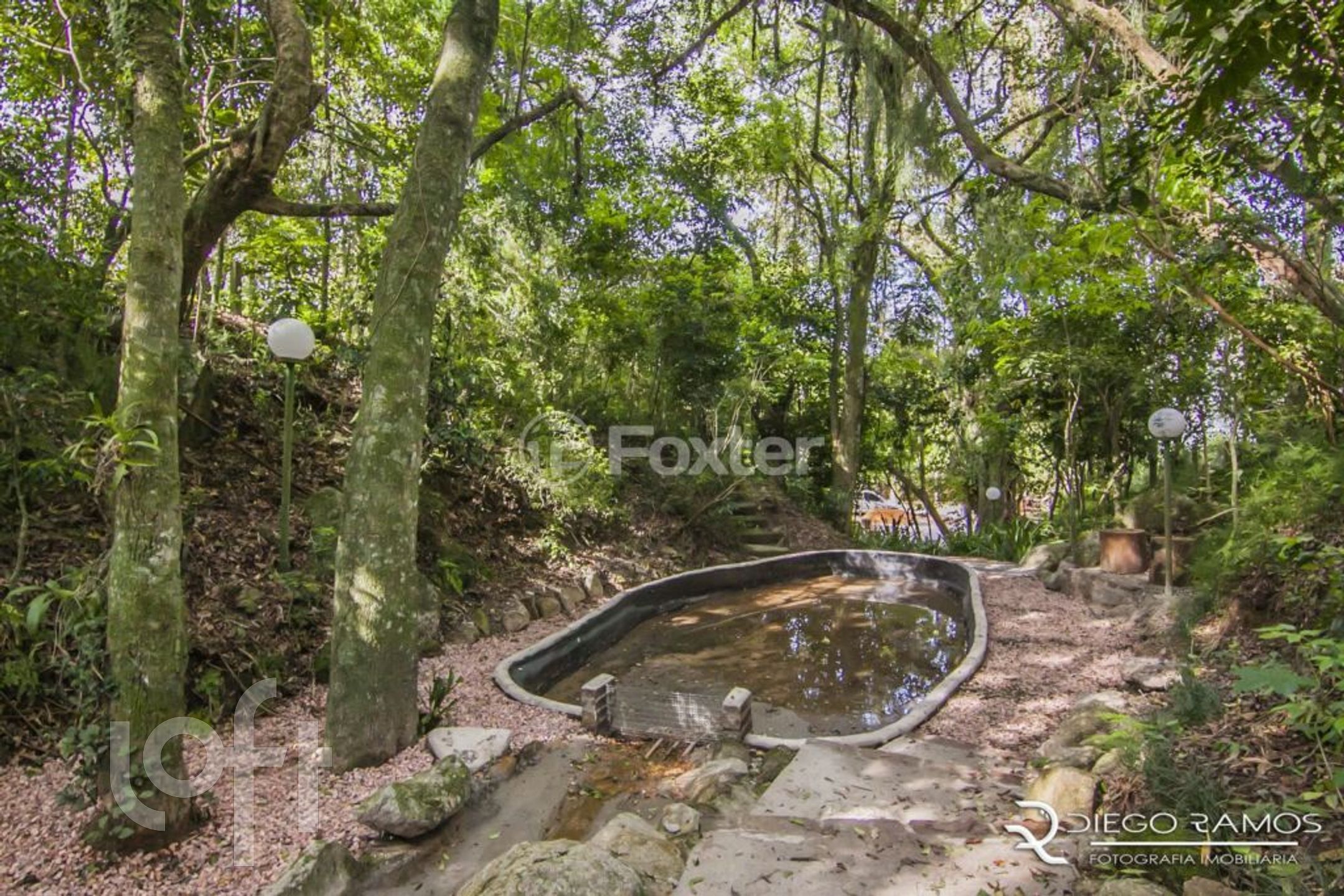 Imagem da propriedade 56