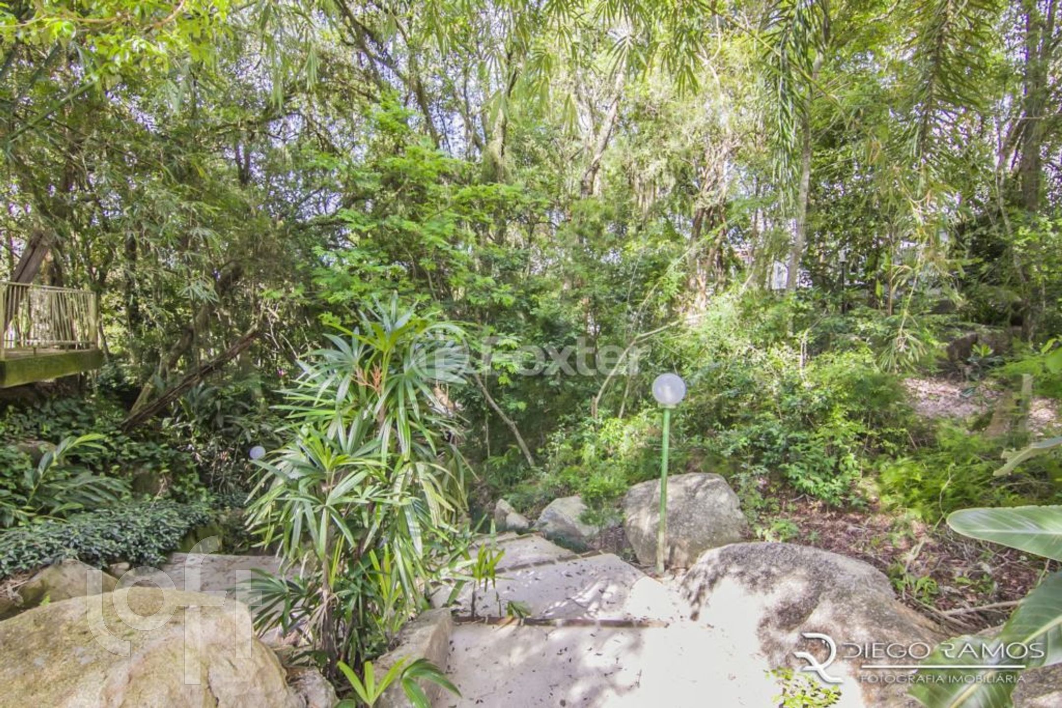 Imagem da propriedade 55