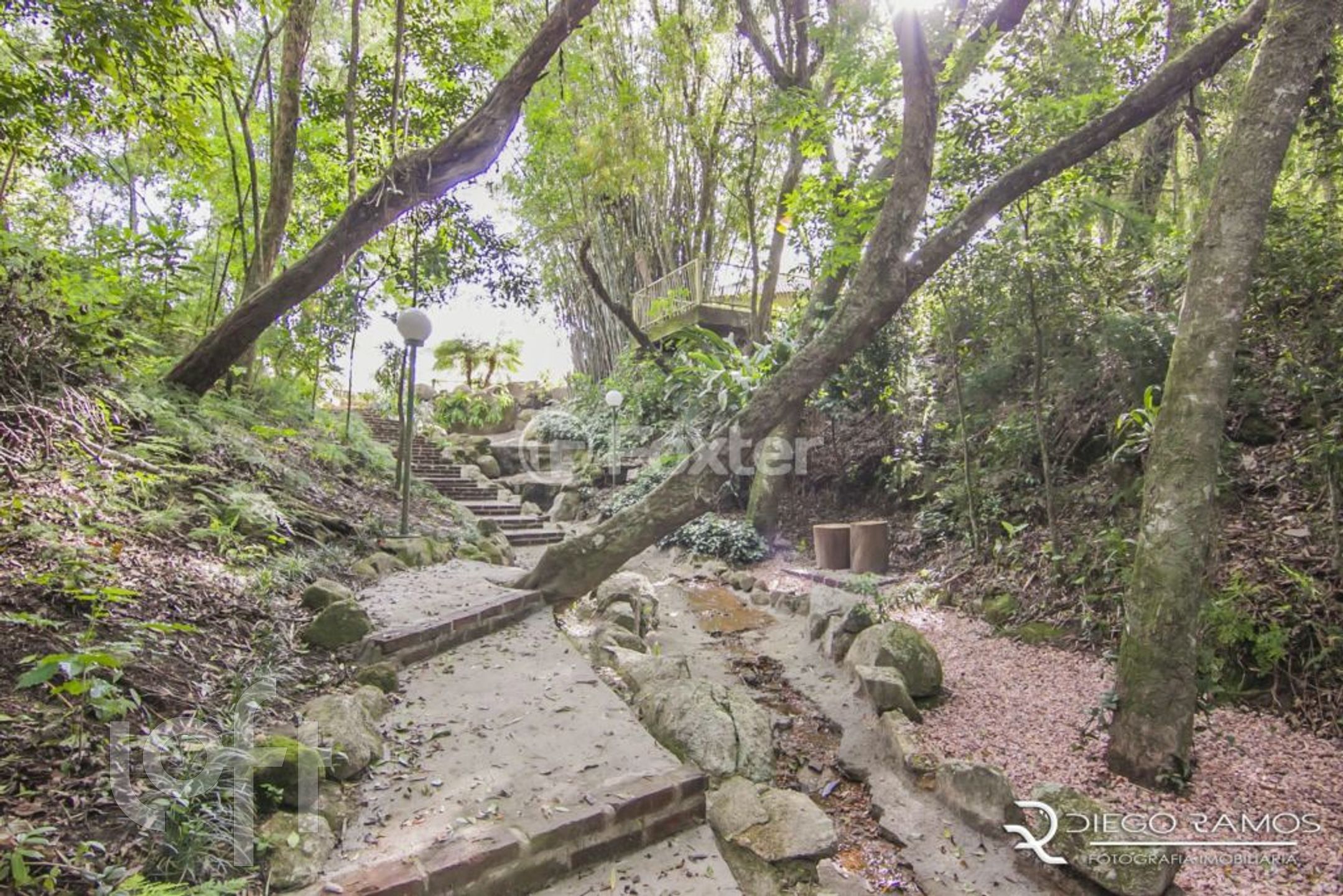 Imagem da propriedade 58