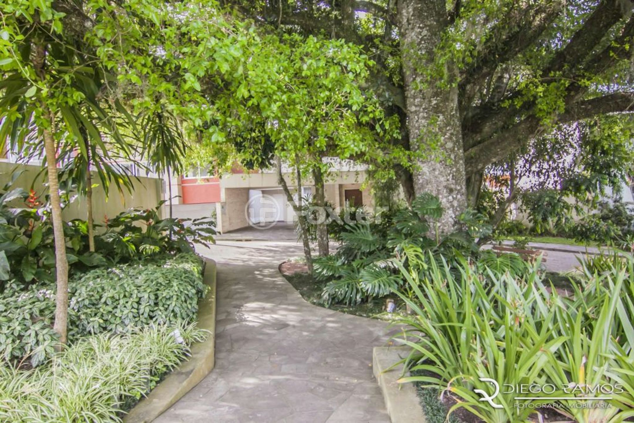 Imagem da propriedade 52