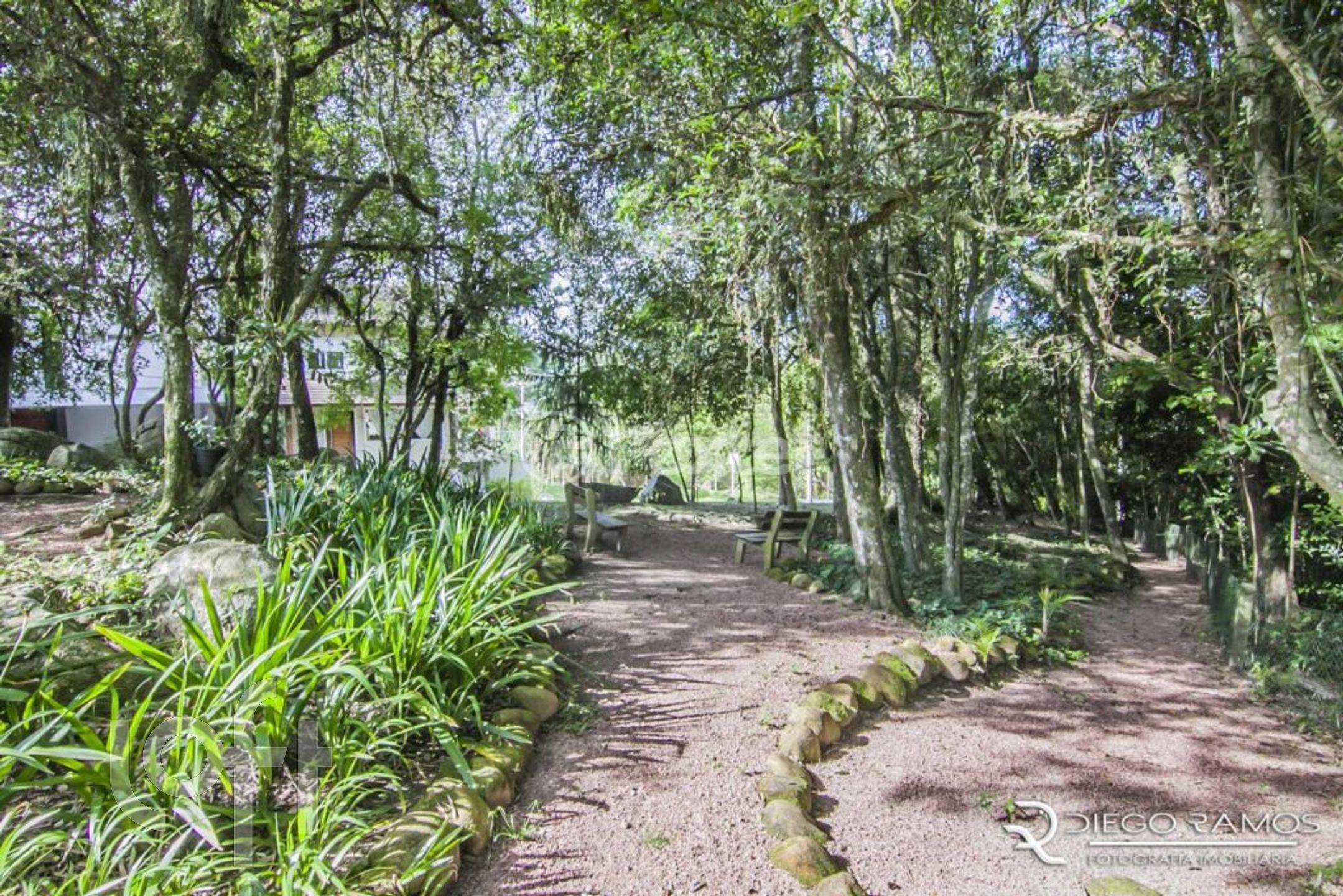 Imagem da propriedade 54