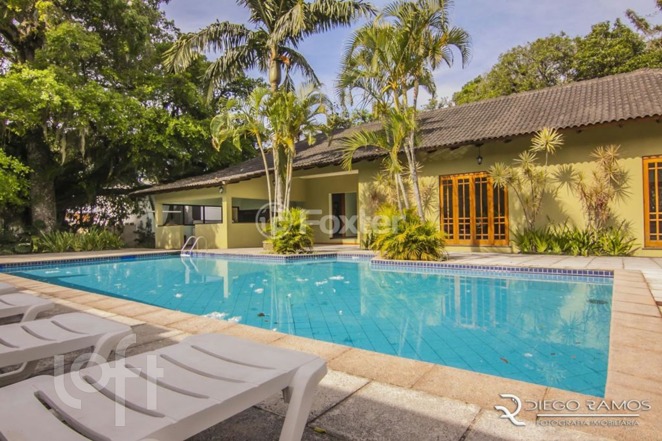 Imagem da propriedade 37