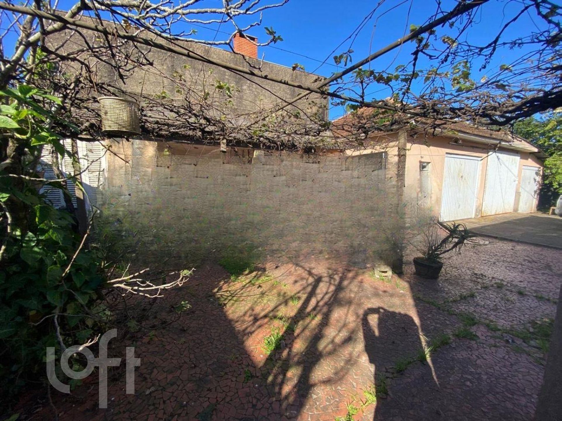 Imagem da propriedade 7