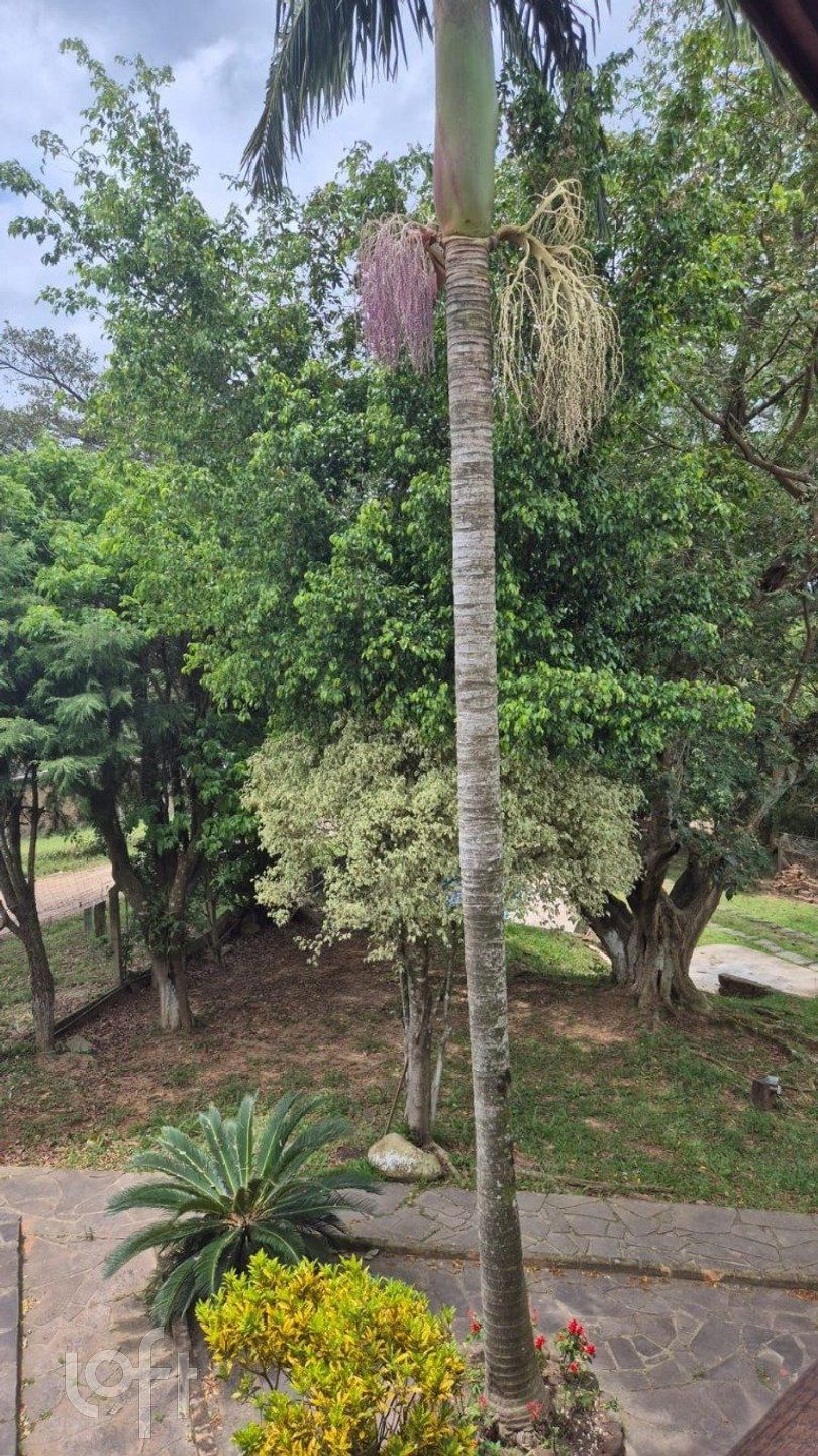 Imagem da propriedade 20