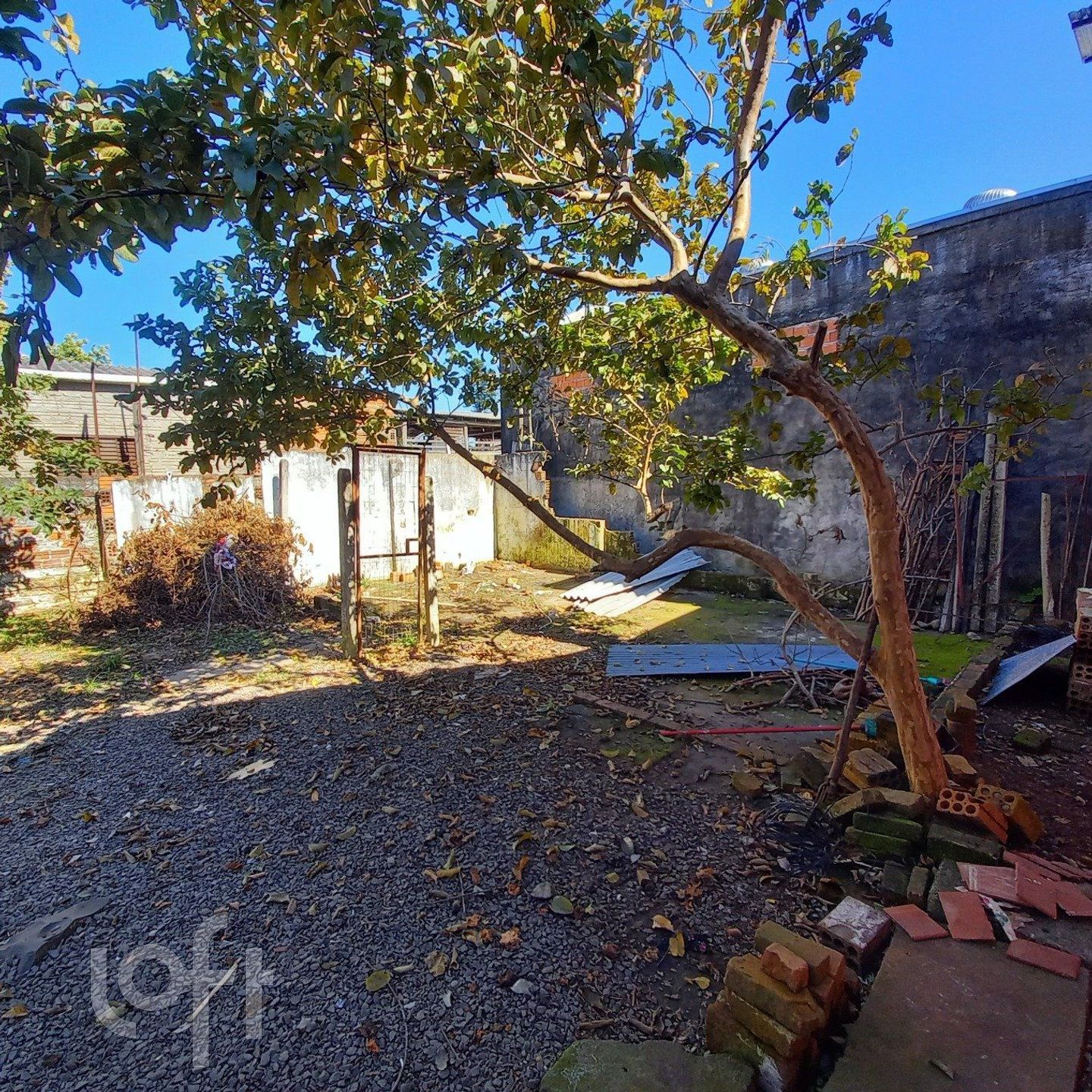 Imagem da propriedade 26