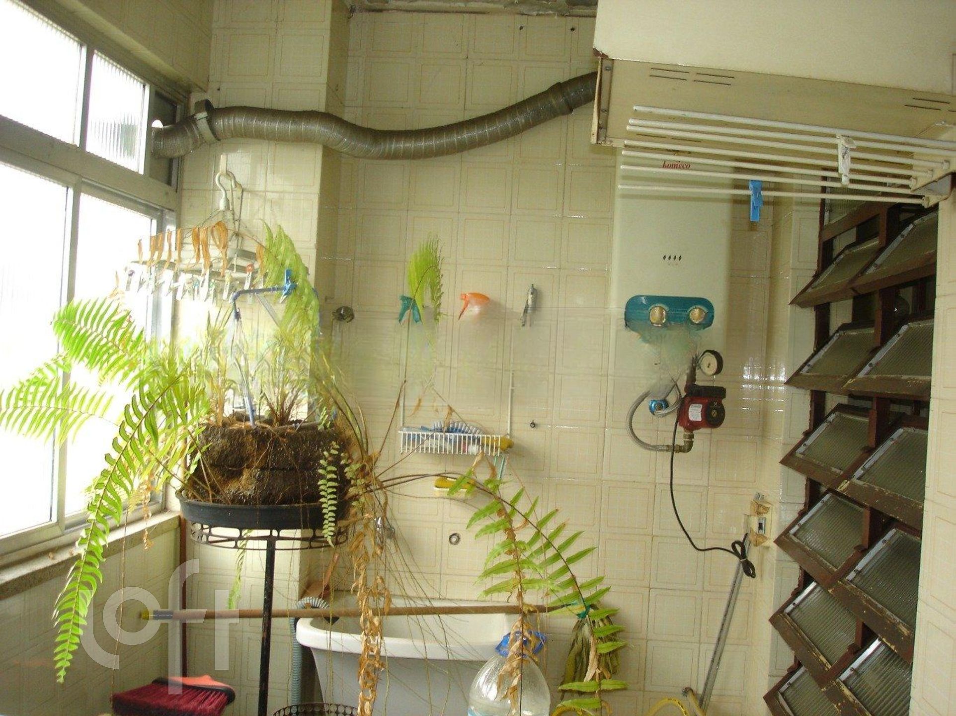 Imagem da propriedade 16