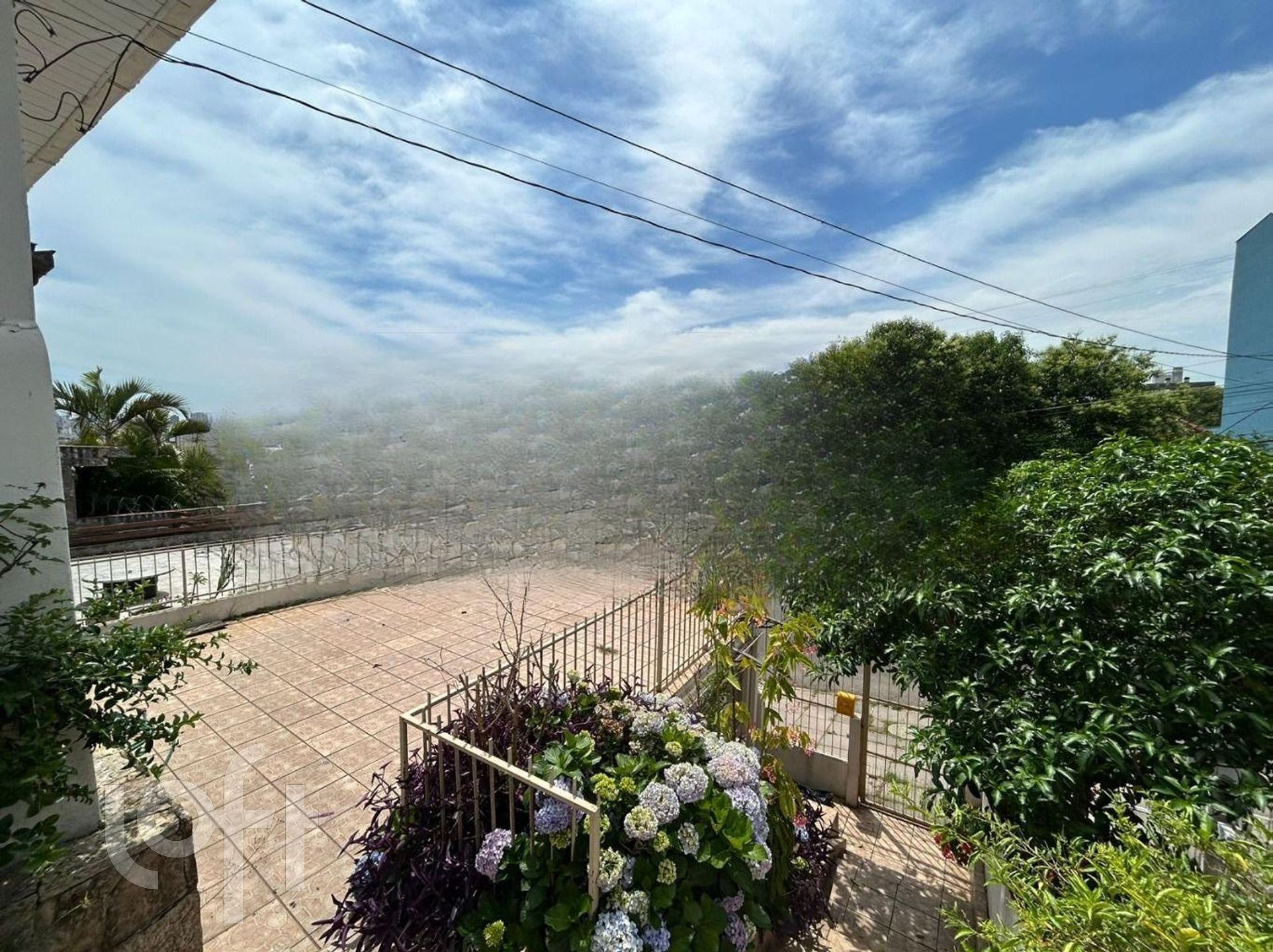 Imagem da propriedade 3