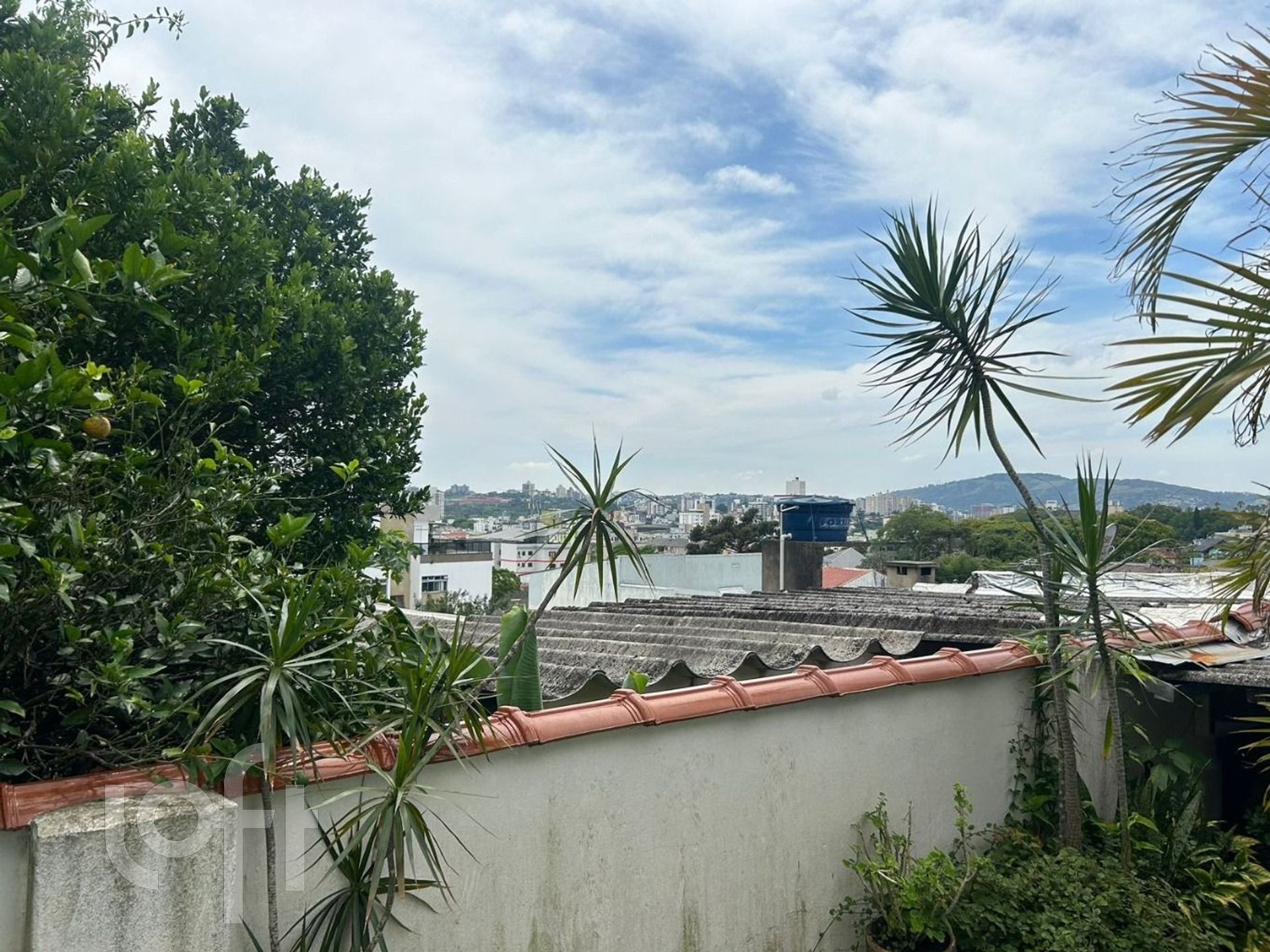 Imagem da propriedade 26