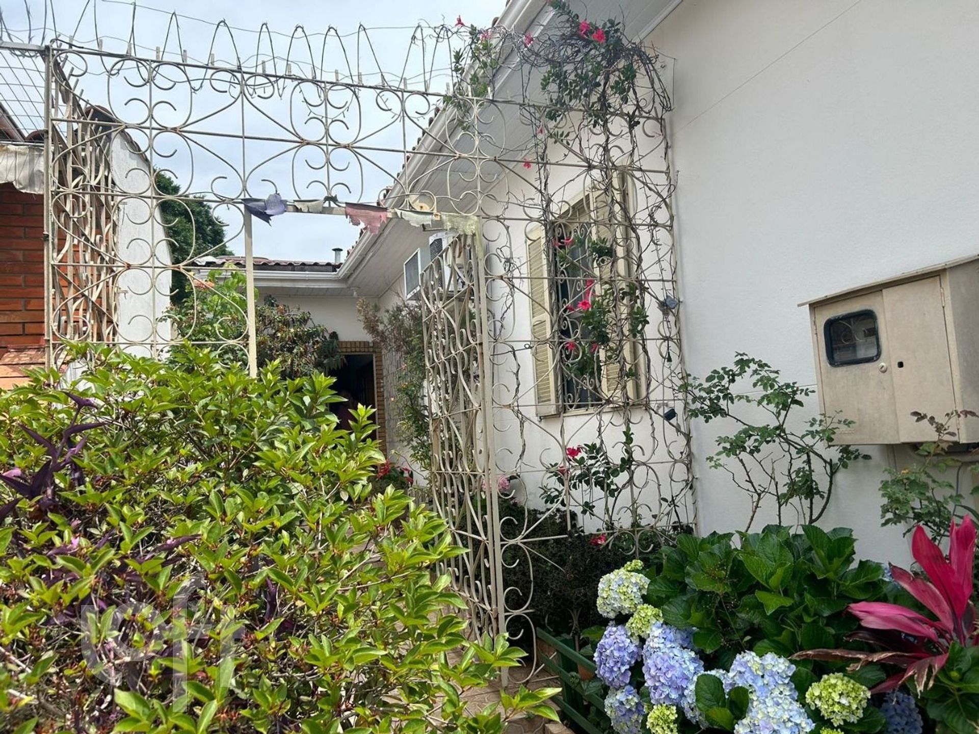 Imagem da propriedade 6