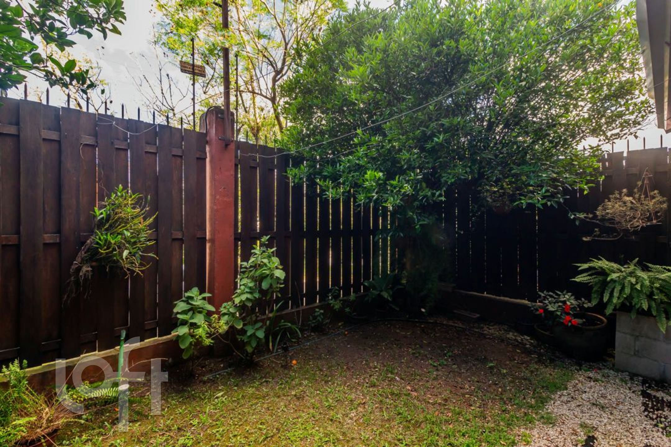 Imagem da propriedade 7