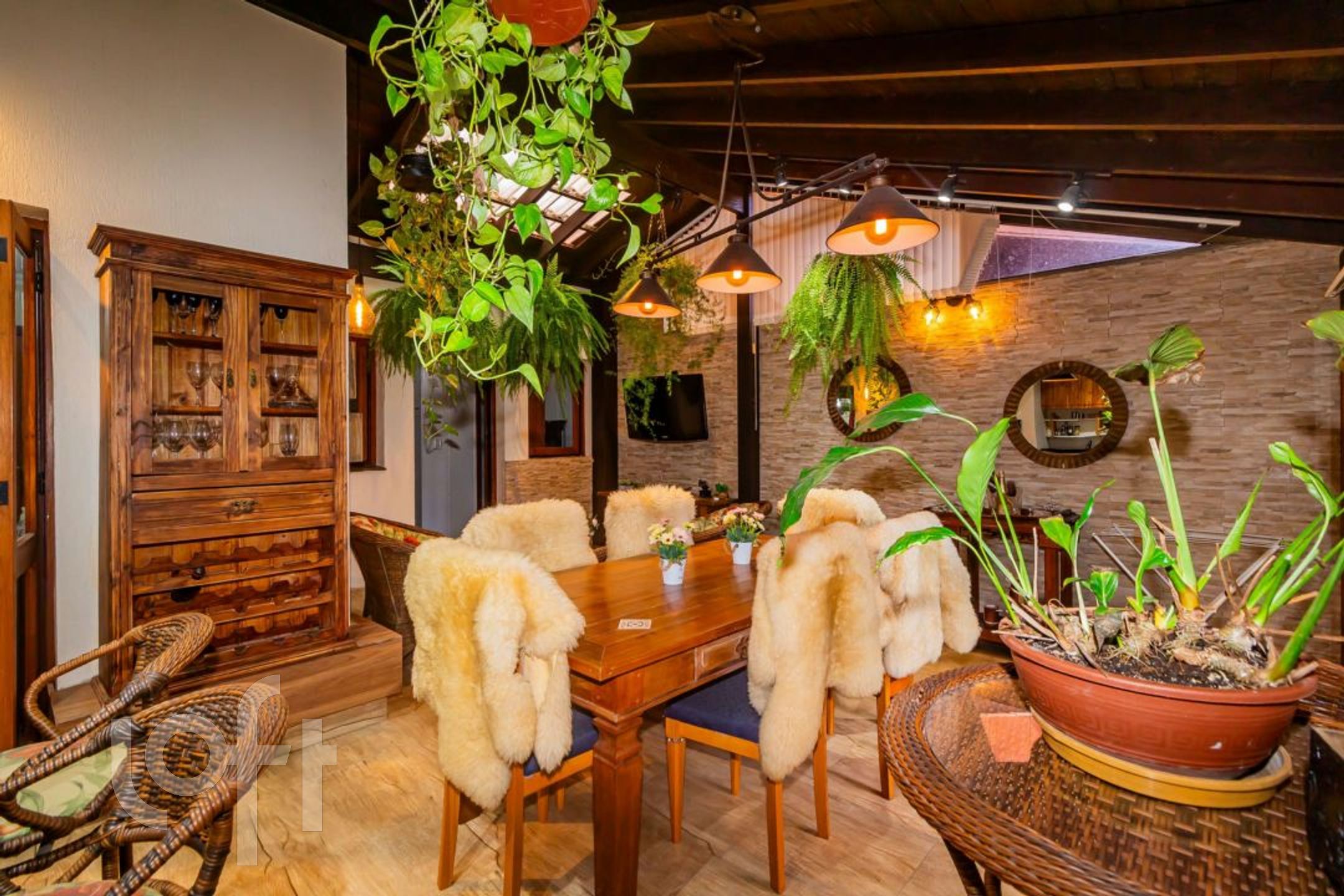 Imagem da propriedade 3