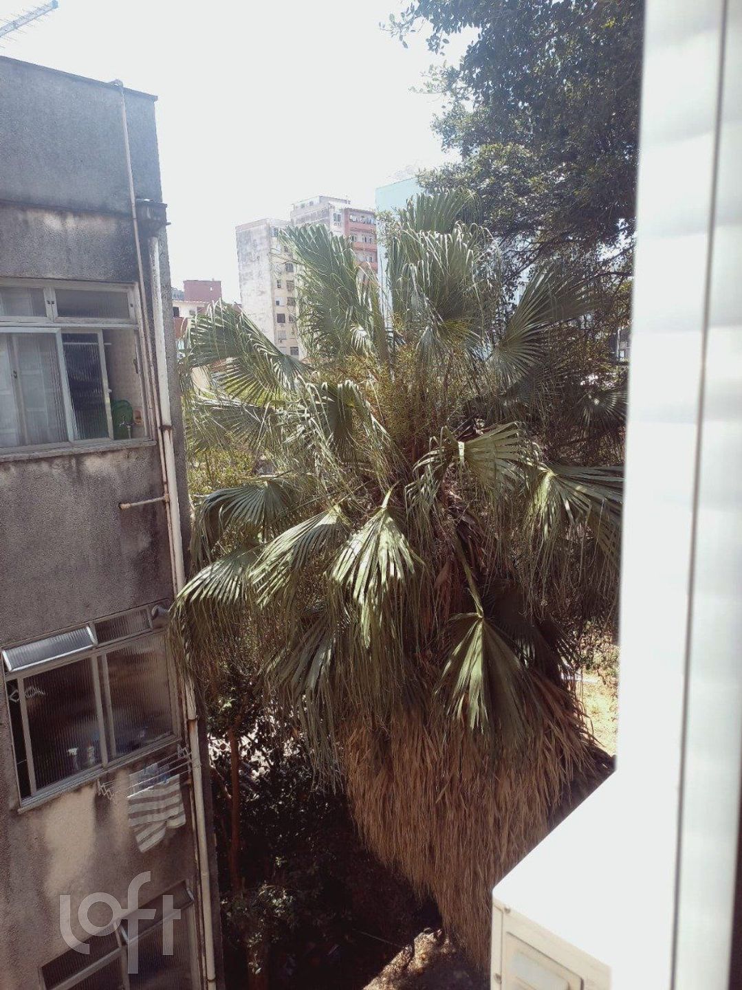 Imagem da propriedade 14