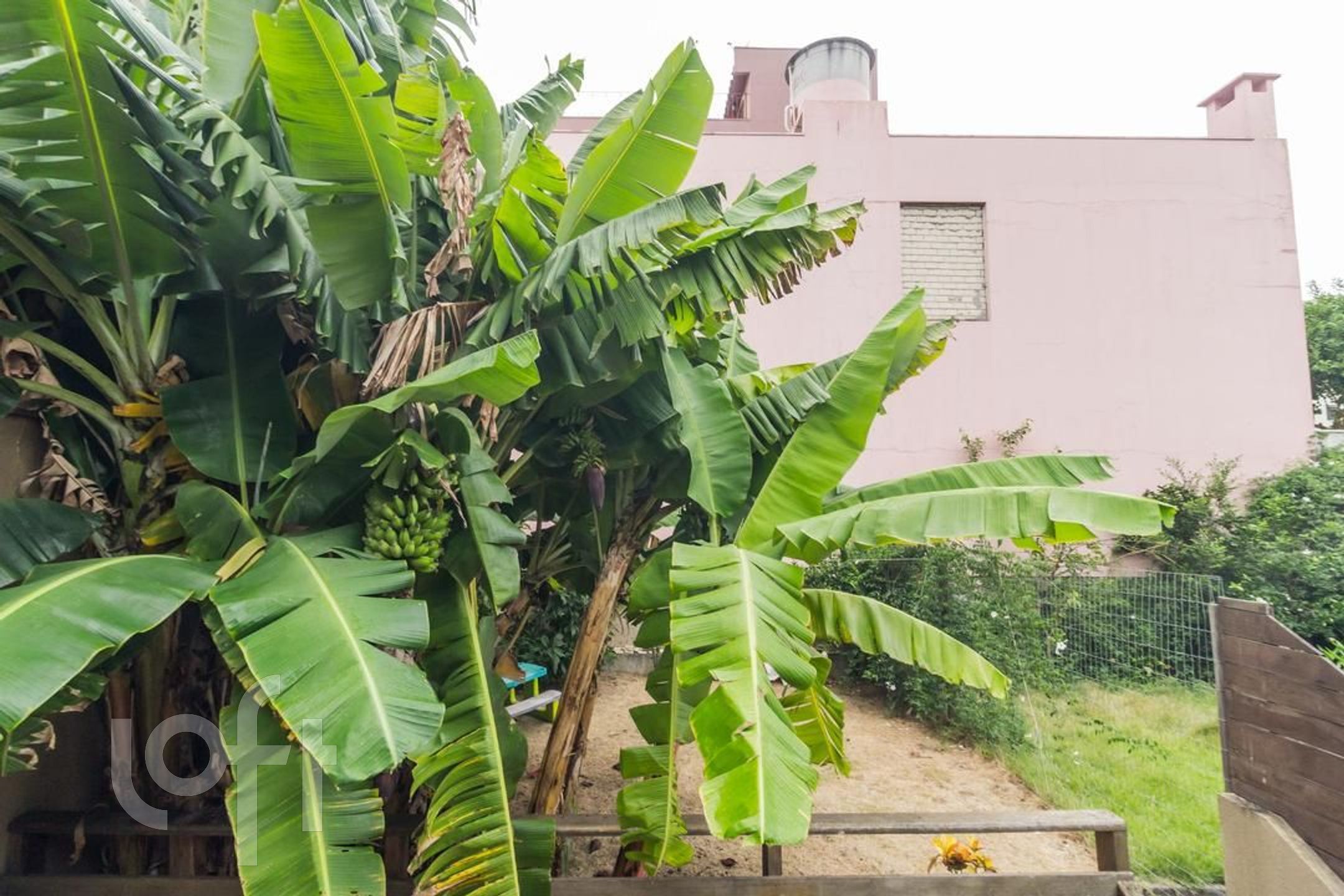 Imagem da propriedade 31