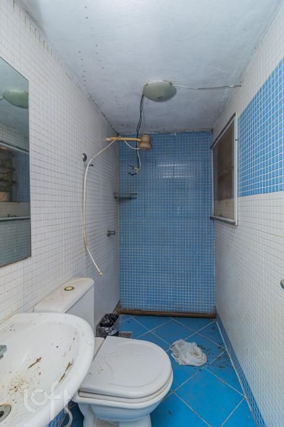 Imagem da propriedade 53