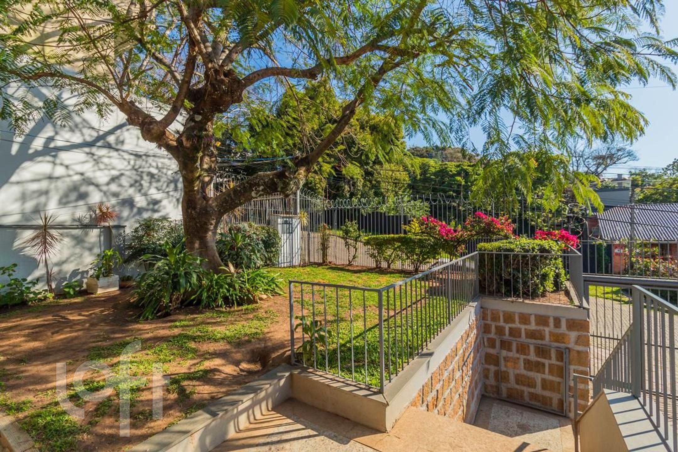 Imagem da propriedade 5