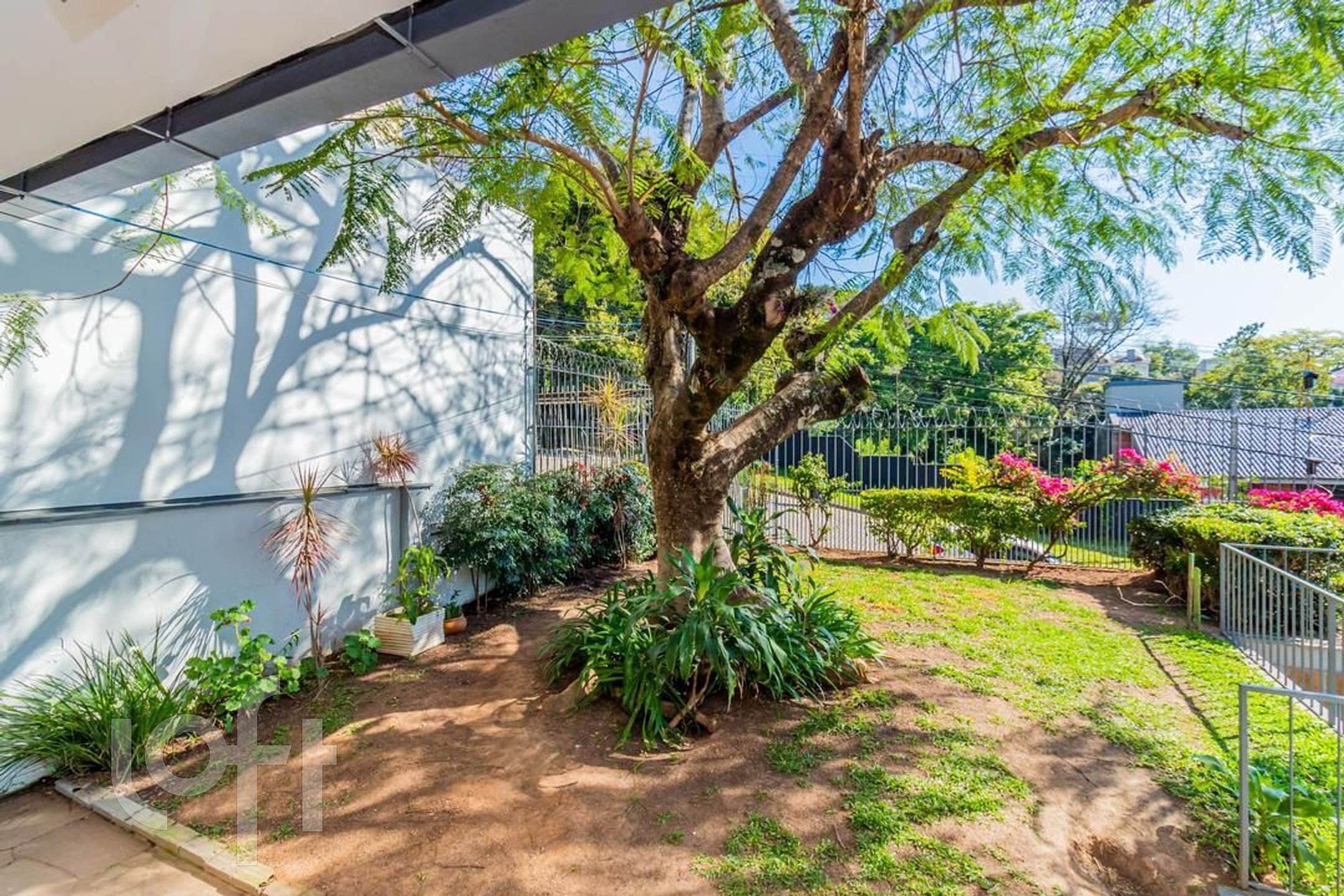 Imagem da propriedade 29