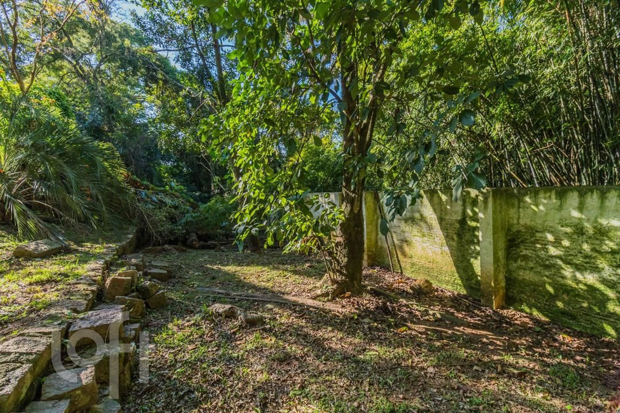 Imagem da propriedade 67