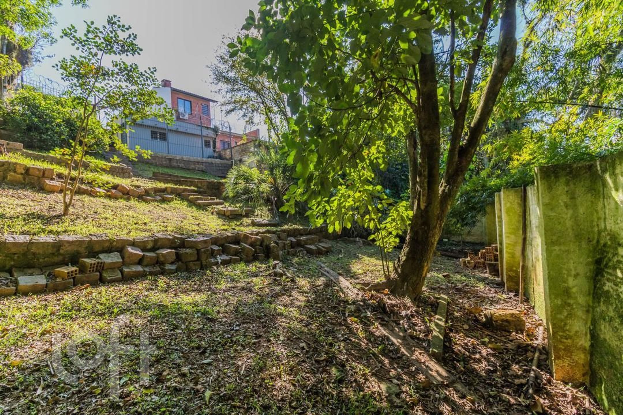 Imagem da propriedade 66